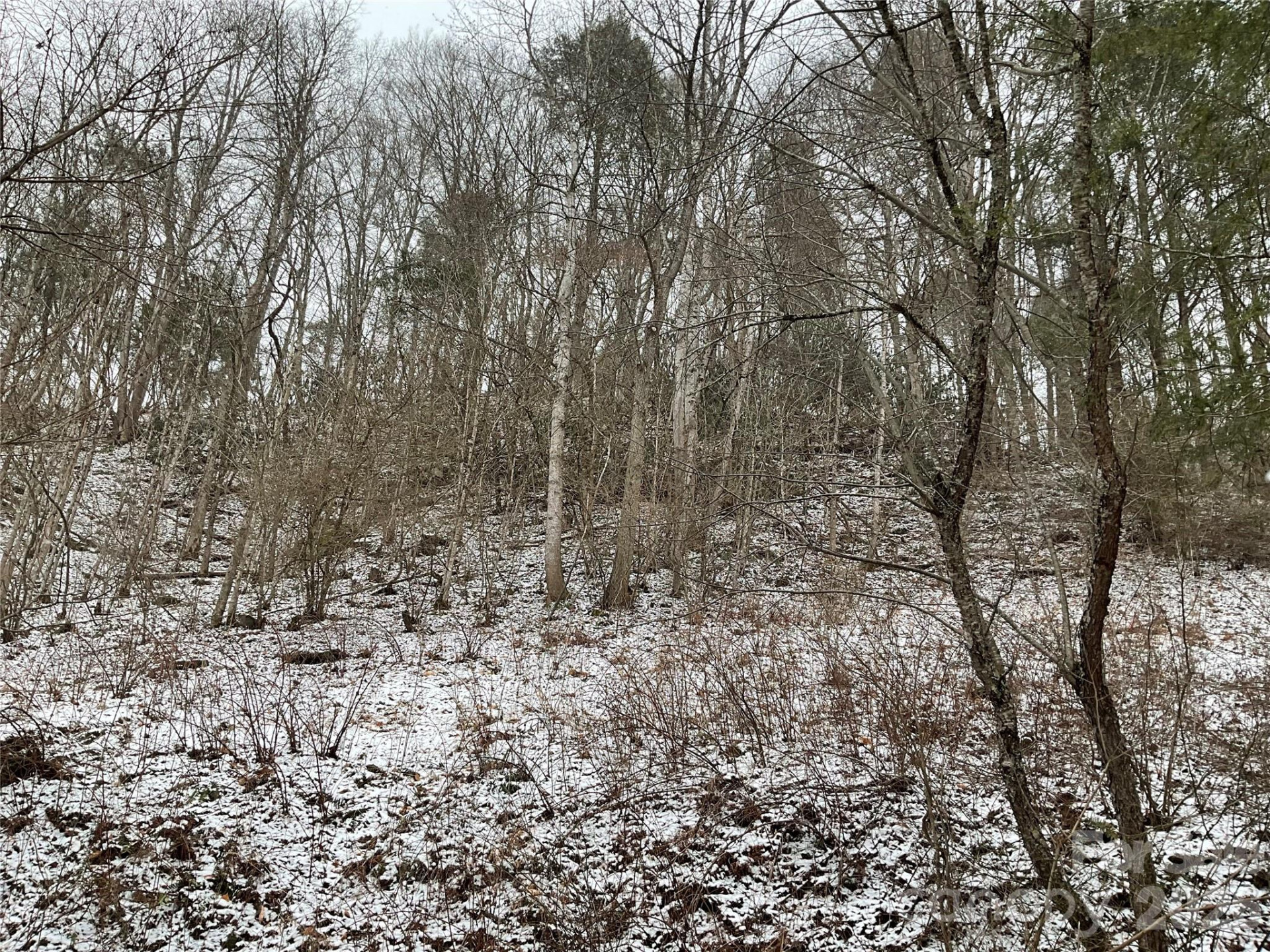 0000 NC Hwy 197 Highway - Photo 15