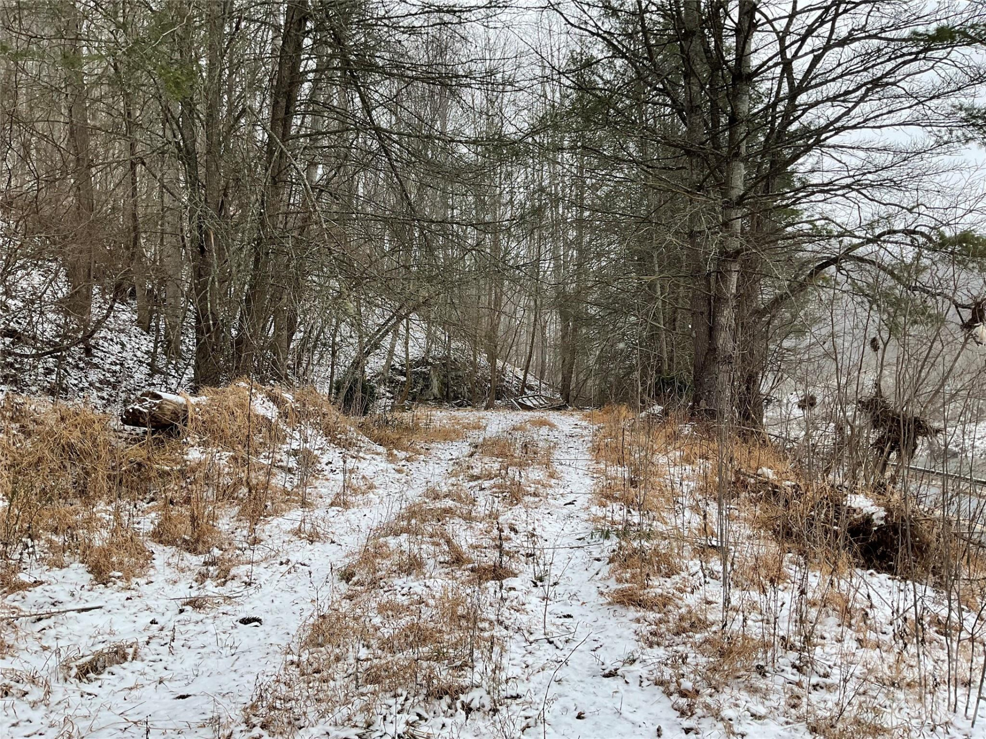 0000 NC Hwy 197 Highway - Photo 3