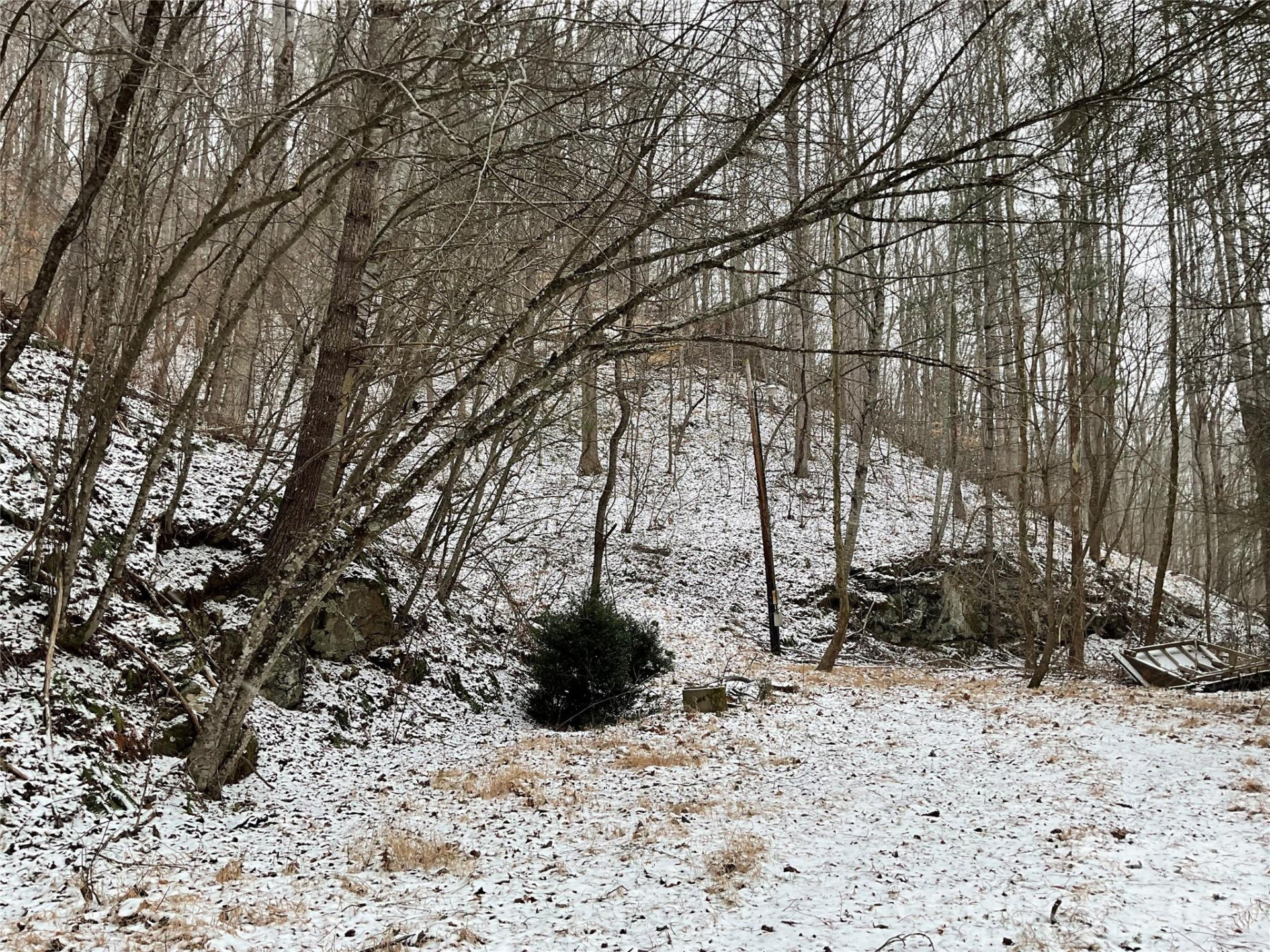 0000 NC Hwy 197 Highway - Photo 4