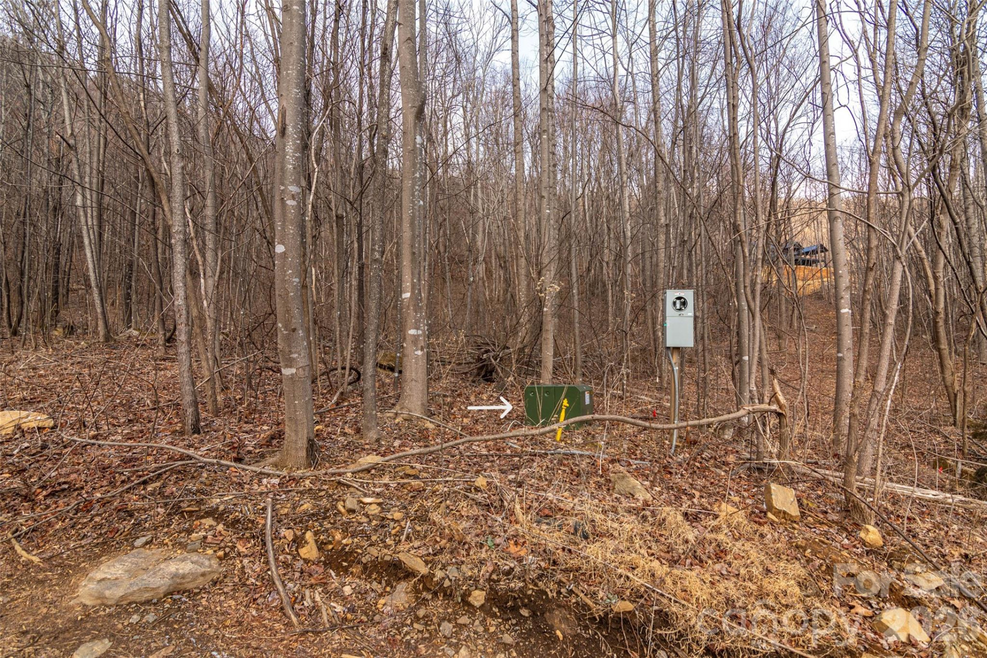 630 Spring Cove Lane - Photo 2