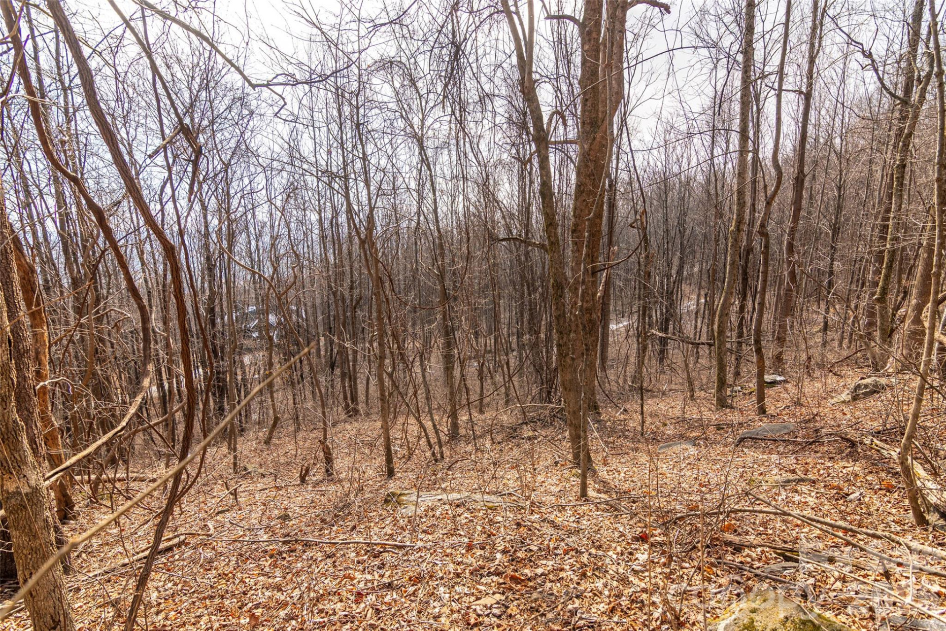 630 Spring Cove Lane - Photo 11