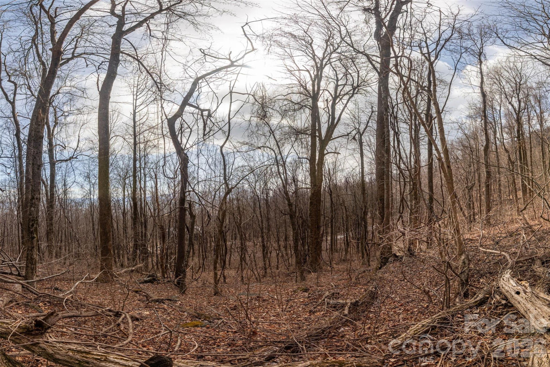 630 Spring Cove Lane - Photo 12