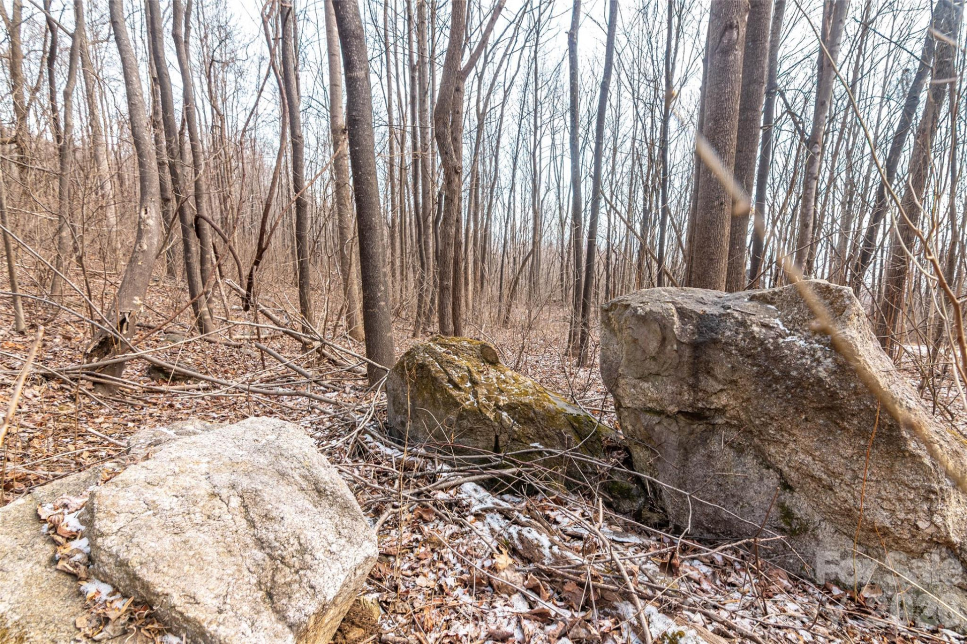 630 Spring Cove Lane - Photo 16