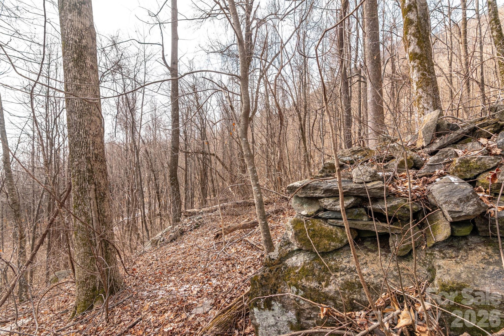 630 Spring Cove Lane - Photo 17