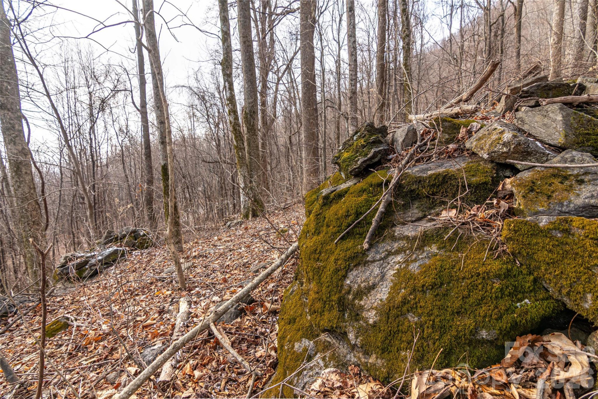 630 Spring Cove Lane - Photo 18