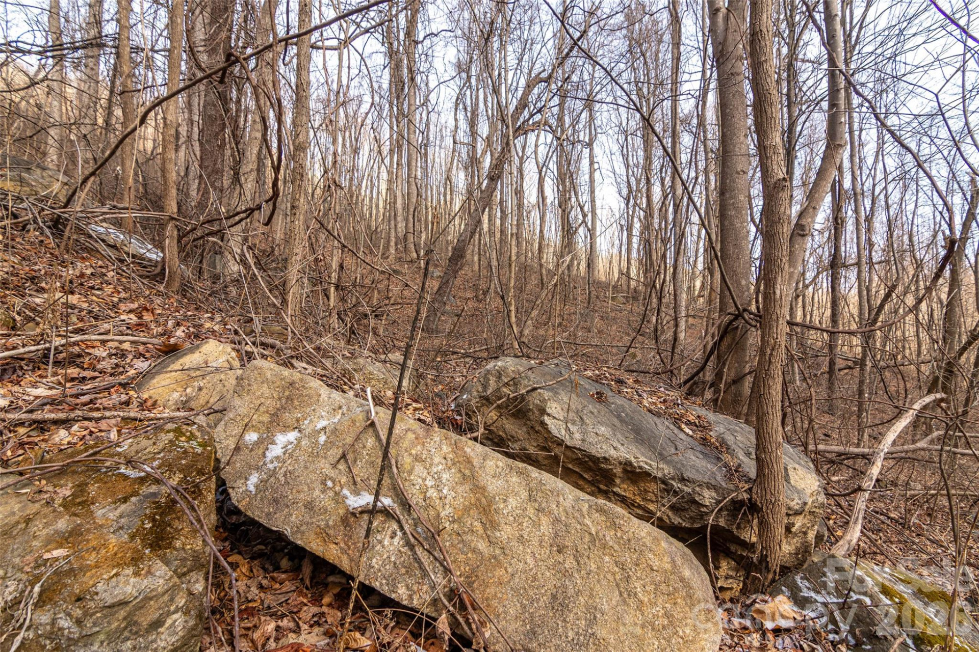 630 Spring Cove Lane - Photo 19