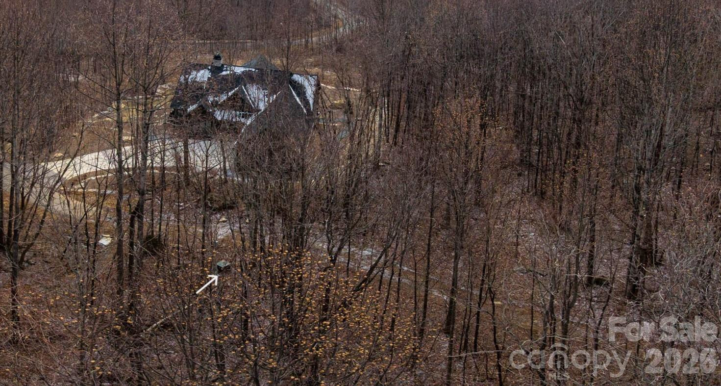 630 Spring Cove Lane - Photo 3