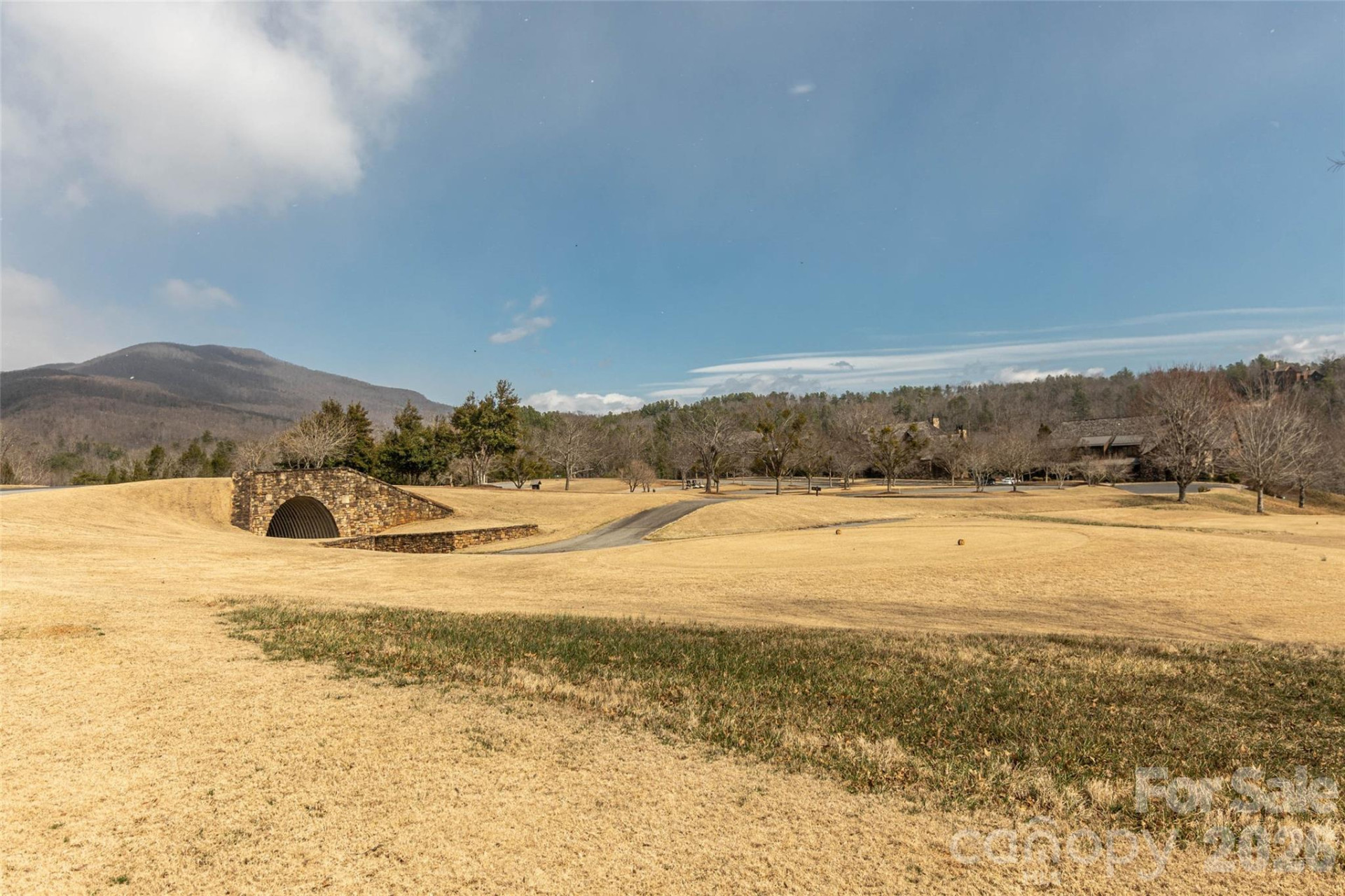 630 Spring Cove Lane - Photo 28