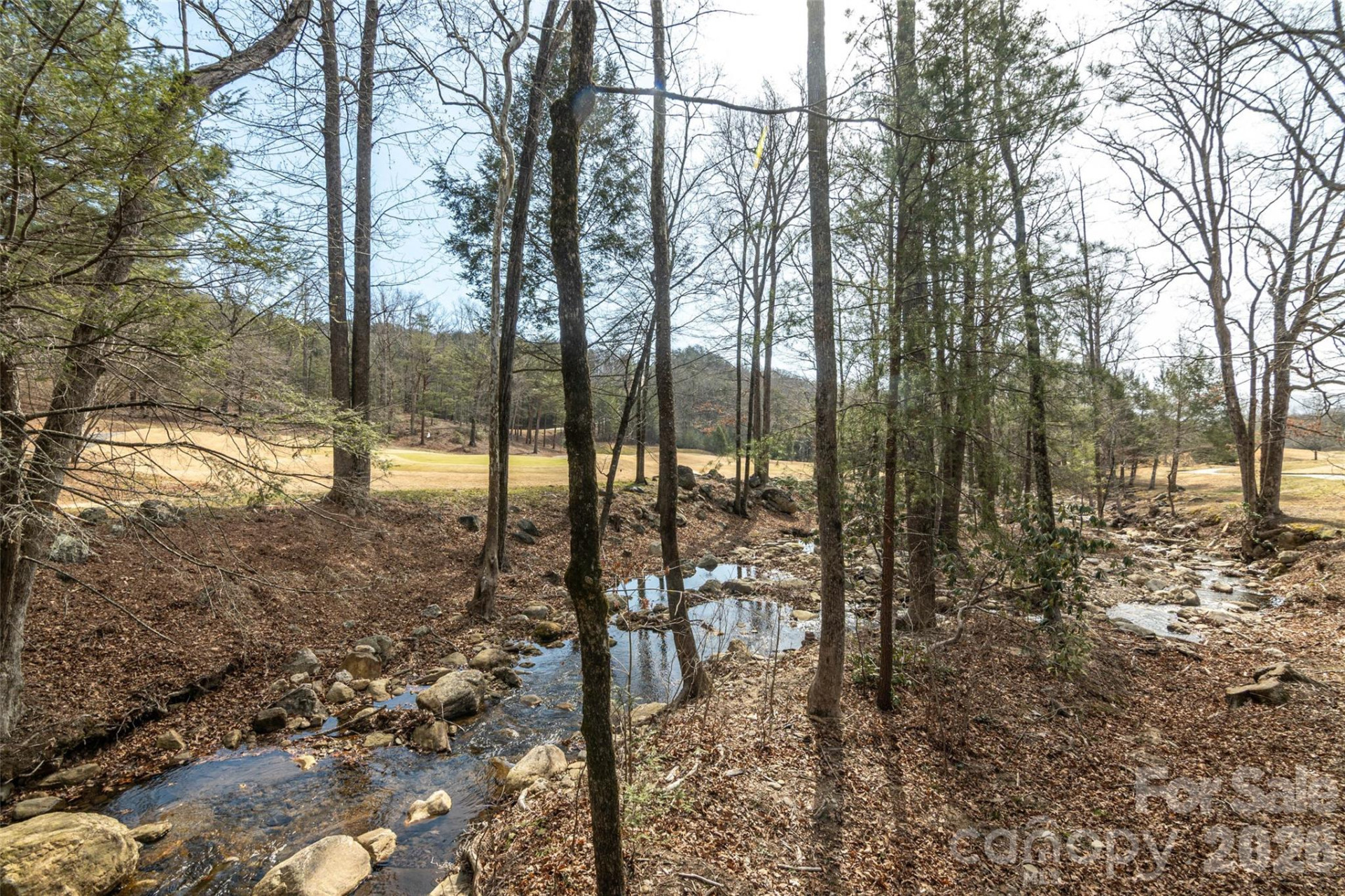 630 Spring Cove Lane - Photo 30