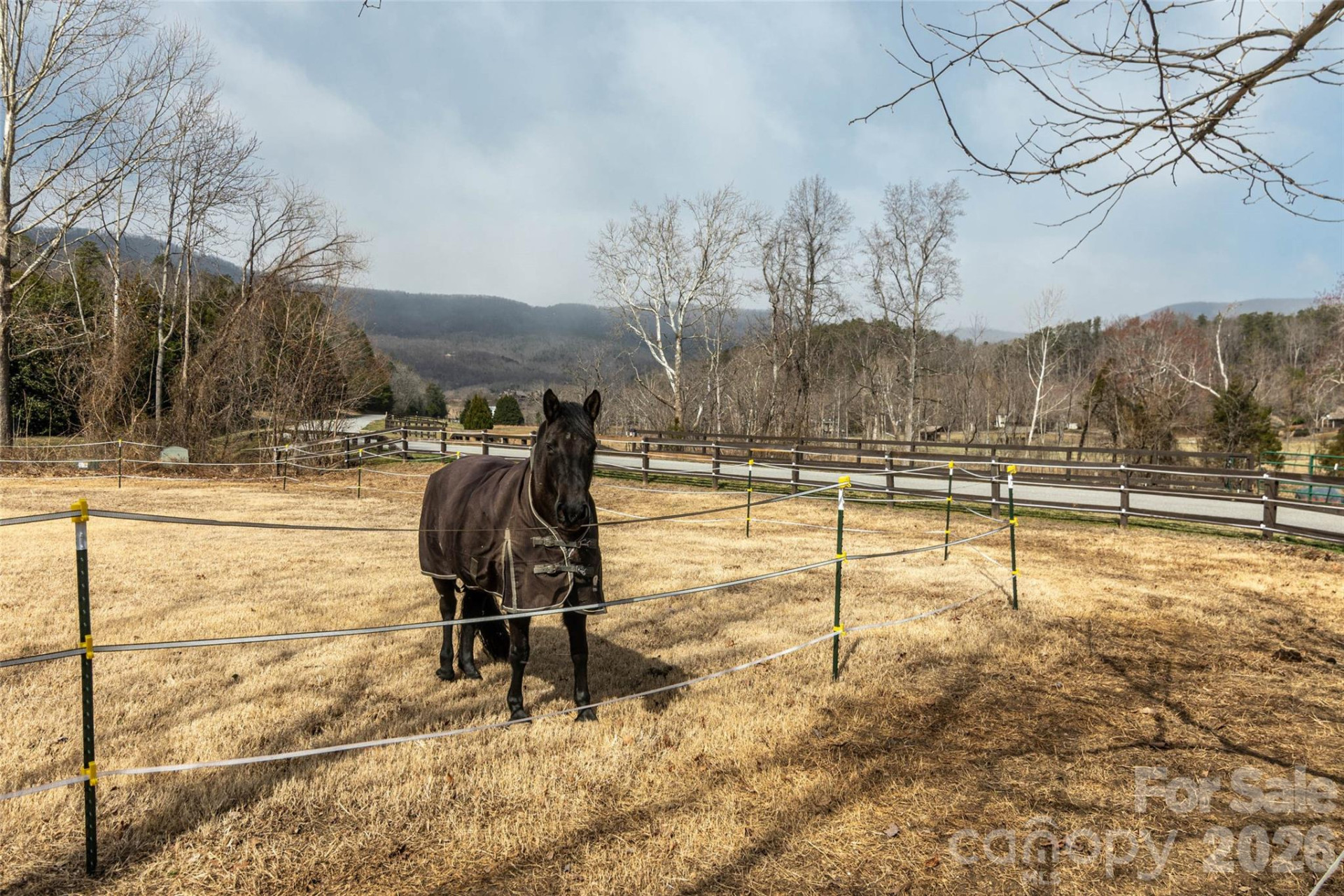 630 Spring Cove Lane - Photo 31