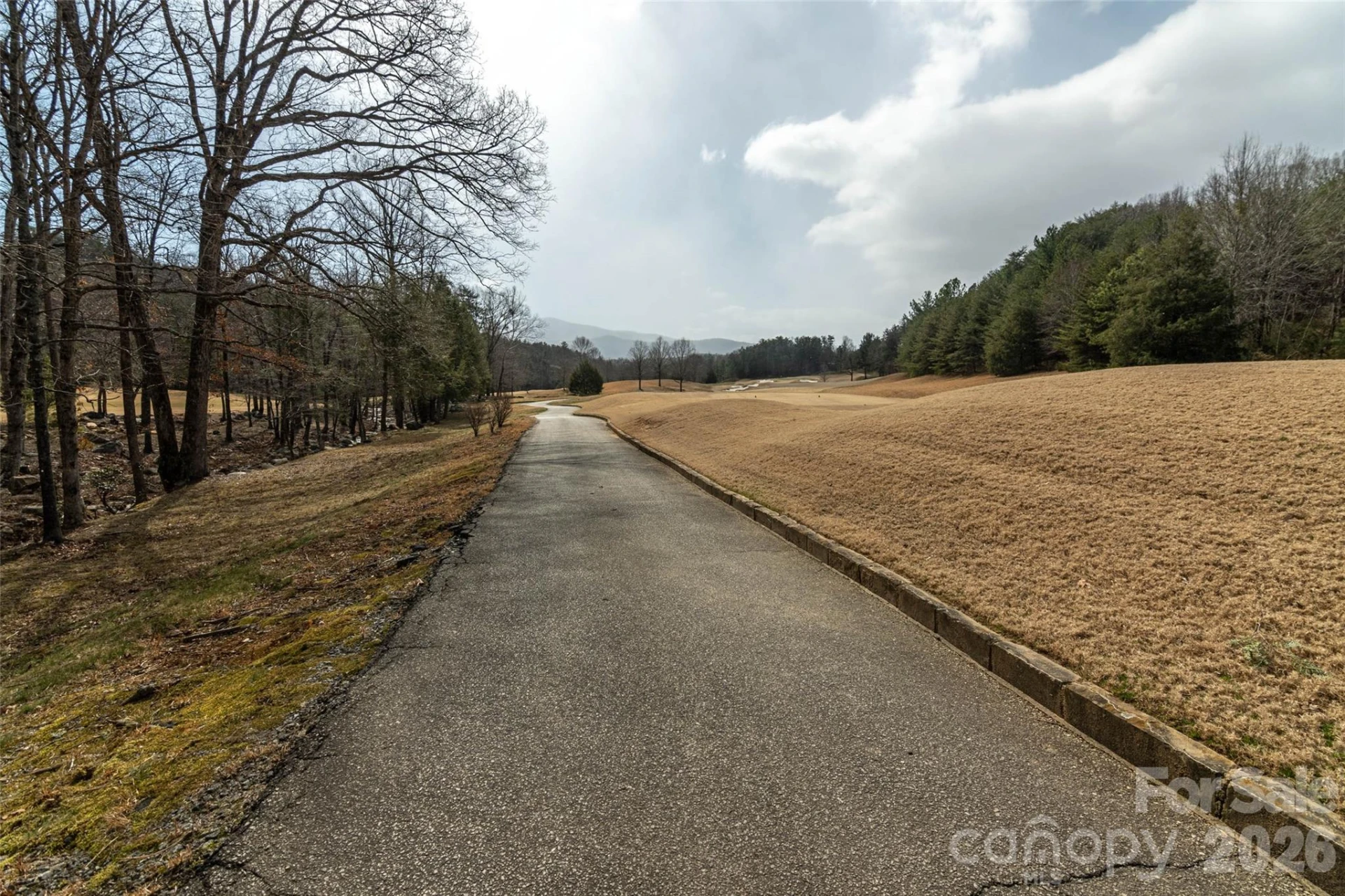 630 Spring Cove Lane - Photo 35