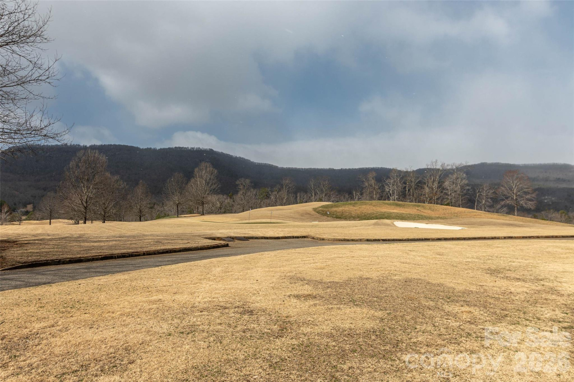 630 Spring Cove Lane - Photo 37