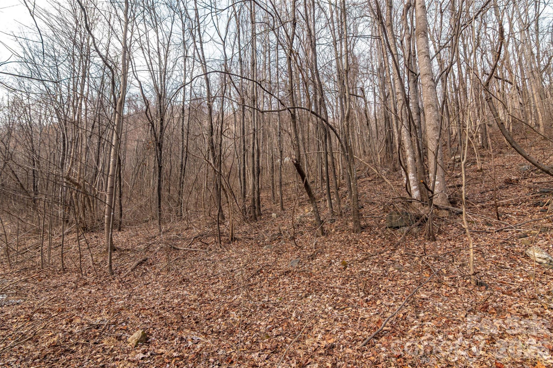 630 Spring Cove Lane - Photo 10