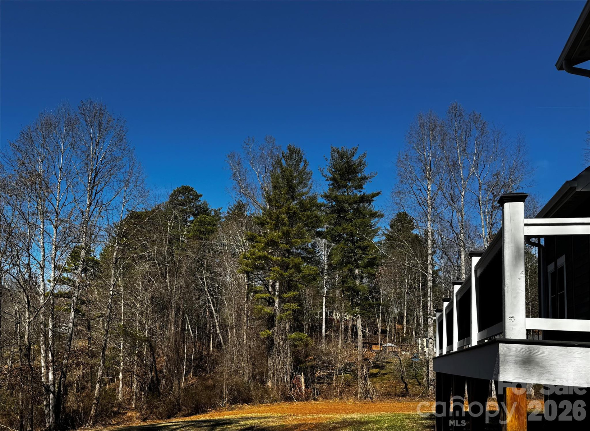 426 Shadow Wood Drive - Photo 26