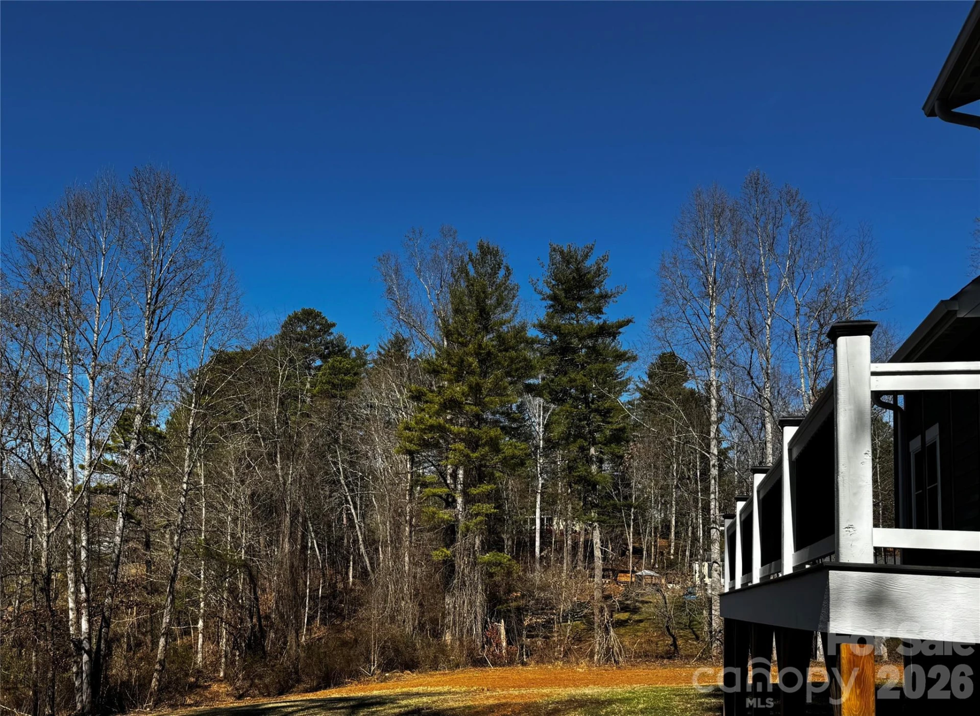 426 Shadow Wood Drive - Photo 26