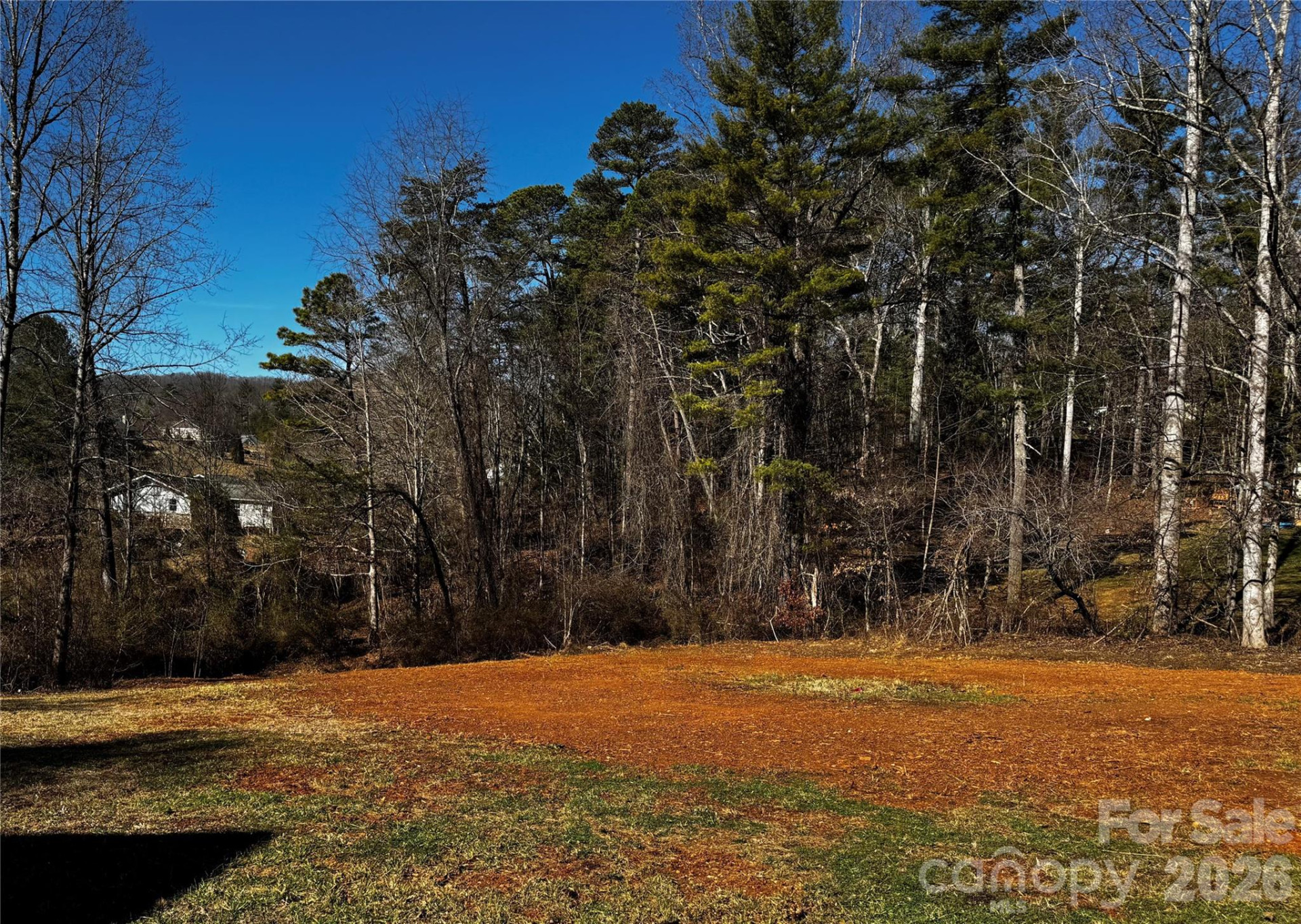 426 Shadow Wood Drive - Photo 28