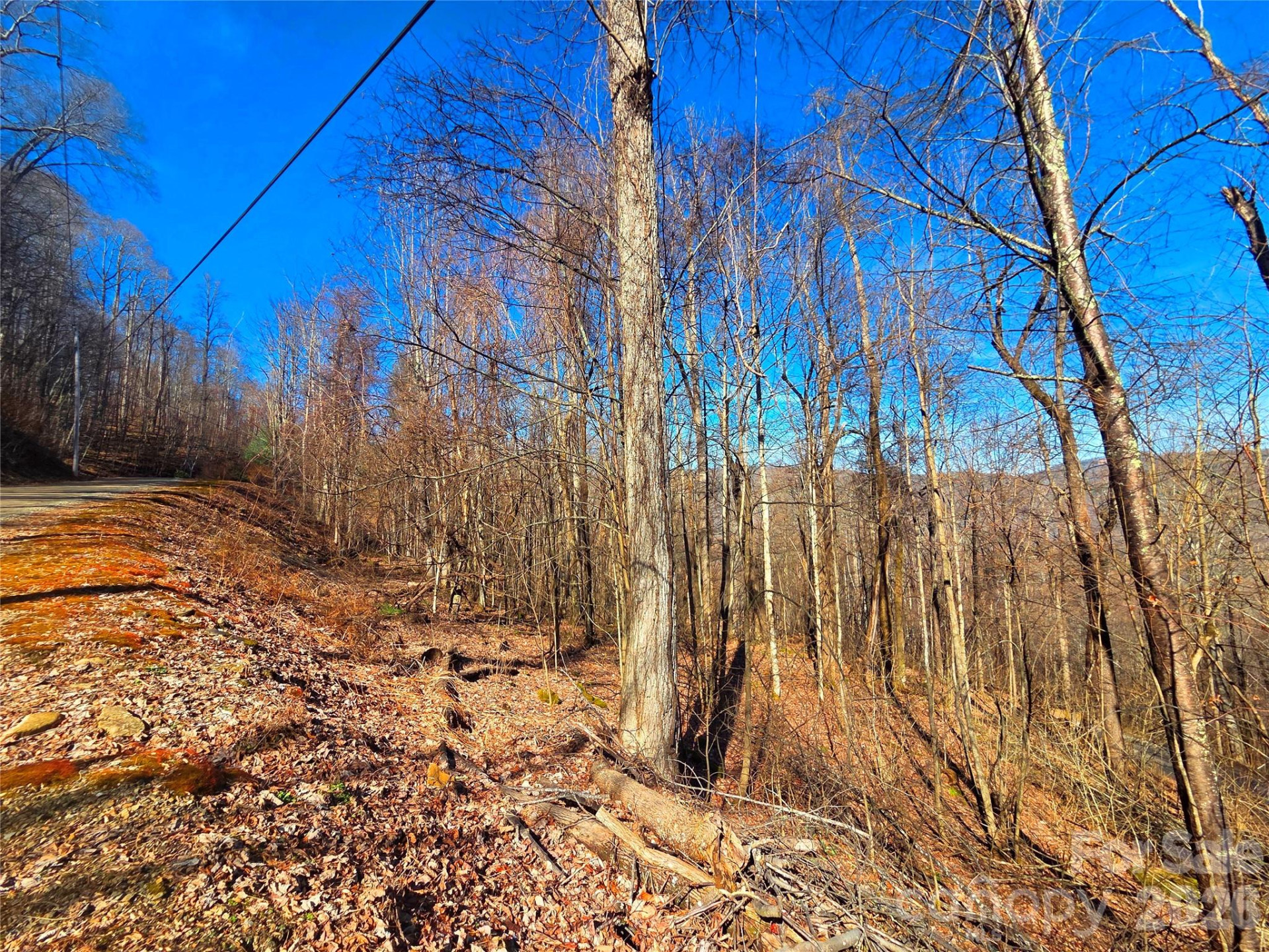 160 Slippery Rock Road #206 - Photo 2