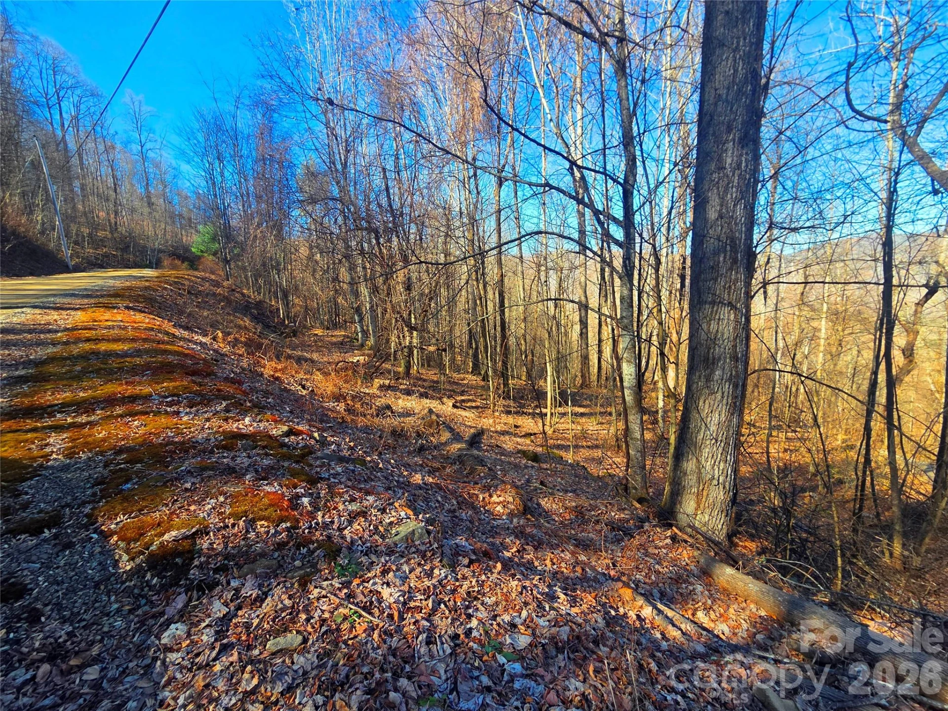 160 Slippery Rock Road #206 - Photo 11