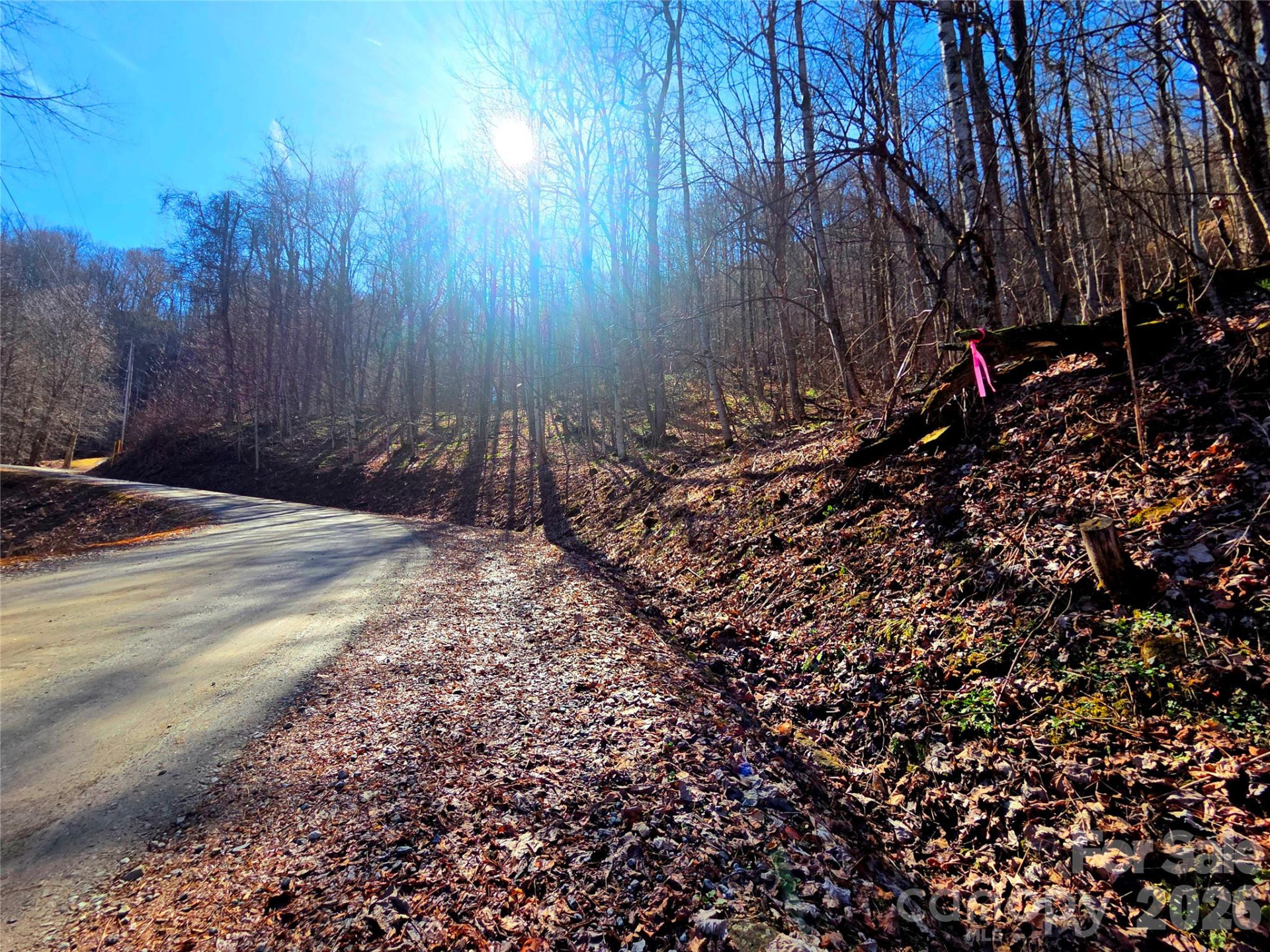 160 Slippery Rock Road #206 - Photo 14