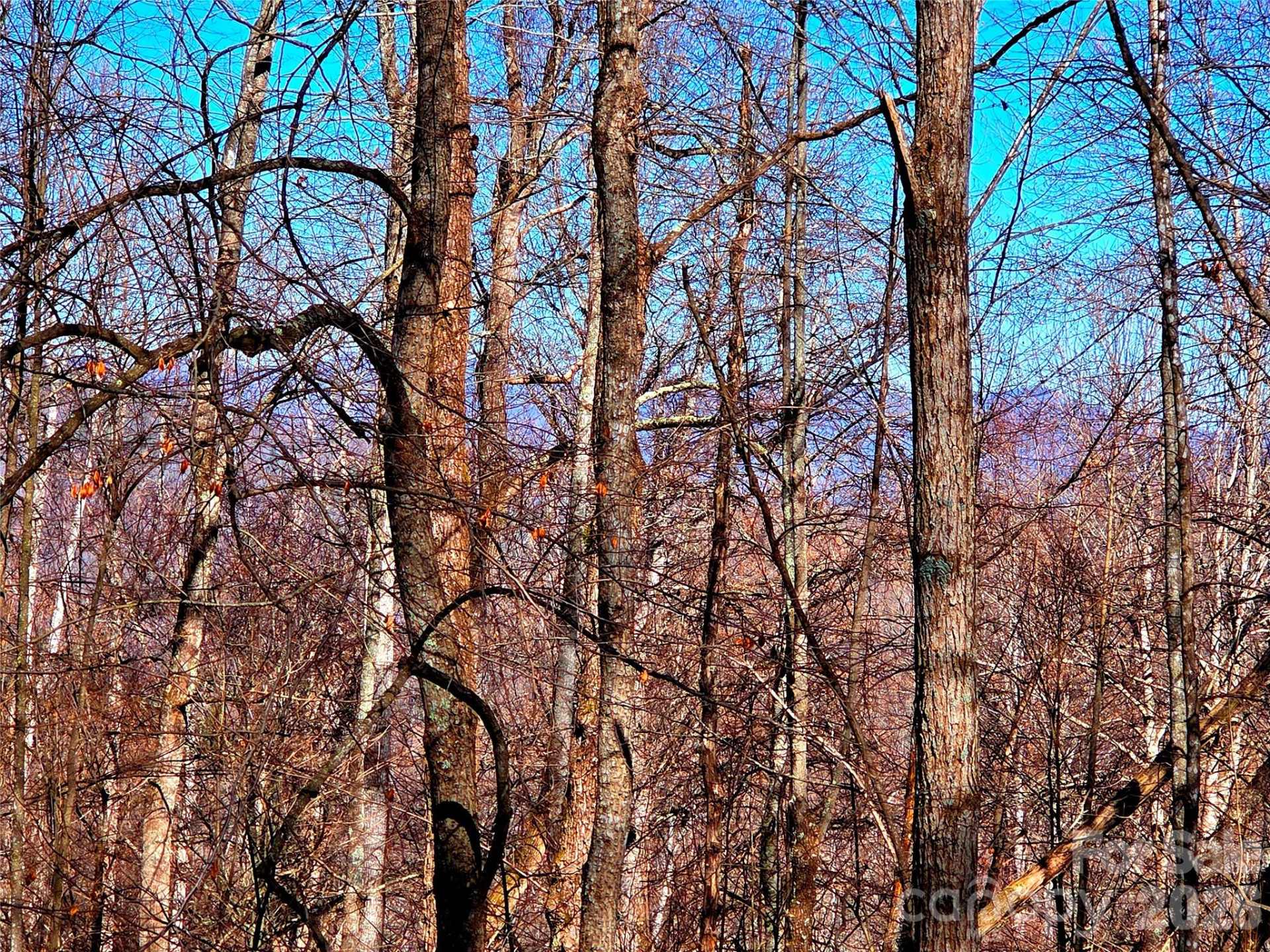 160 Slippery Rock Road #206 - Photo 15