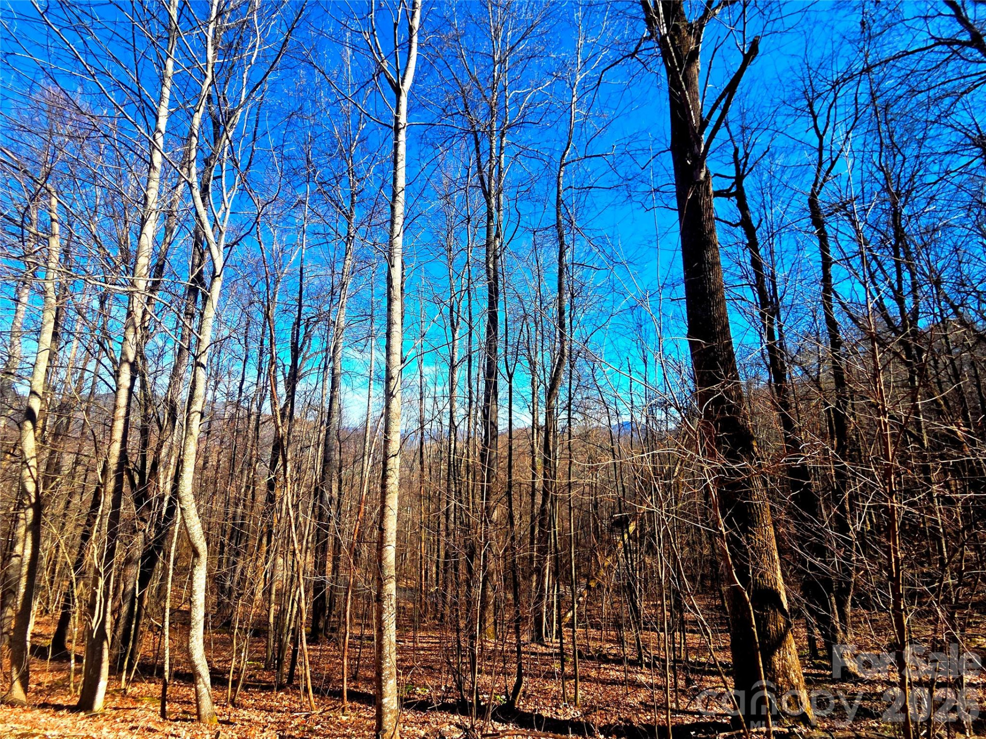 160 Slippery Rock Road #206 - Photo 4