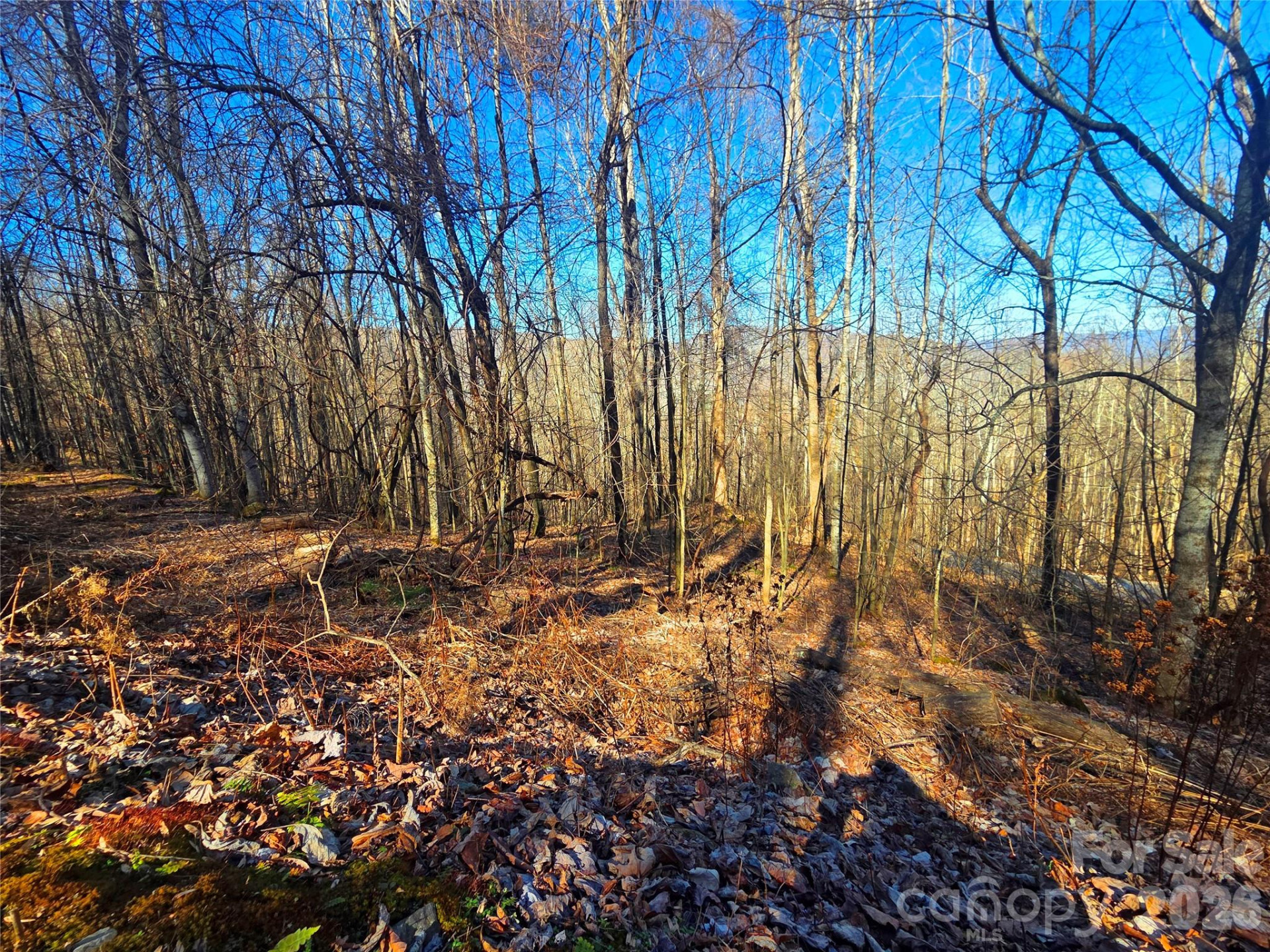 160 Slippery Rock Road #206 - Photo 5