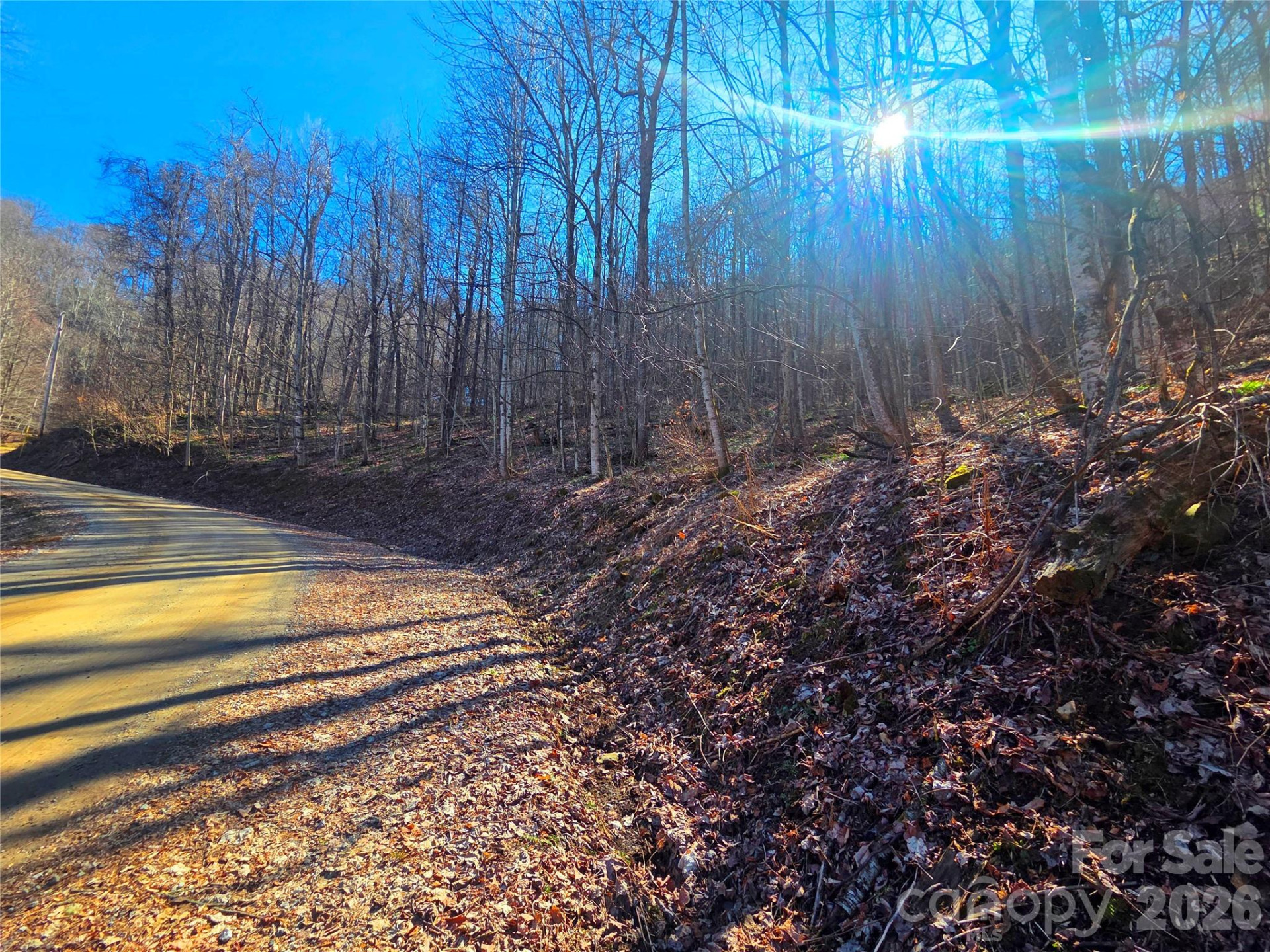 160 Slippery Rock Road #206 - Photo 9