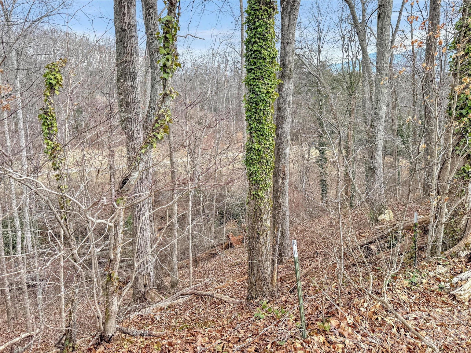 000 Cupp Lane - Photo 8