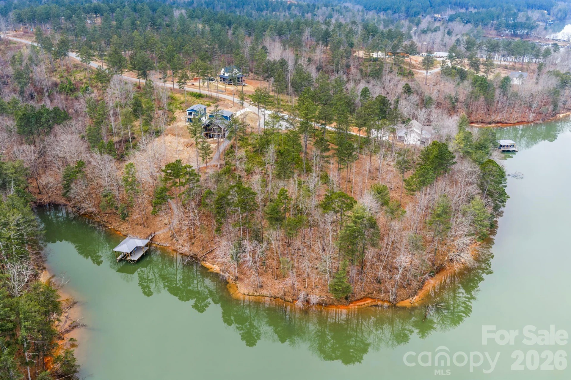 2238 Pikes Peak Ridge - Photo 2