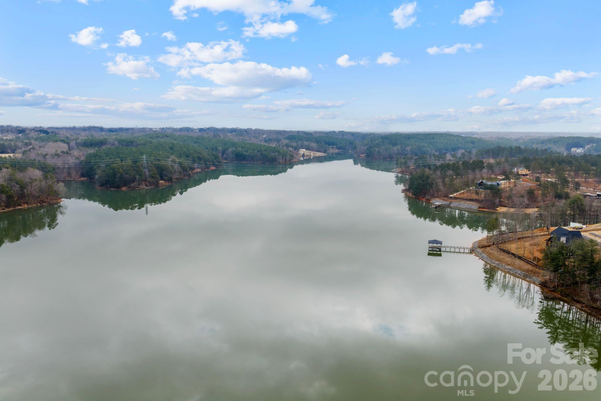 2238 Pikes Peak Ridge - Photo 8