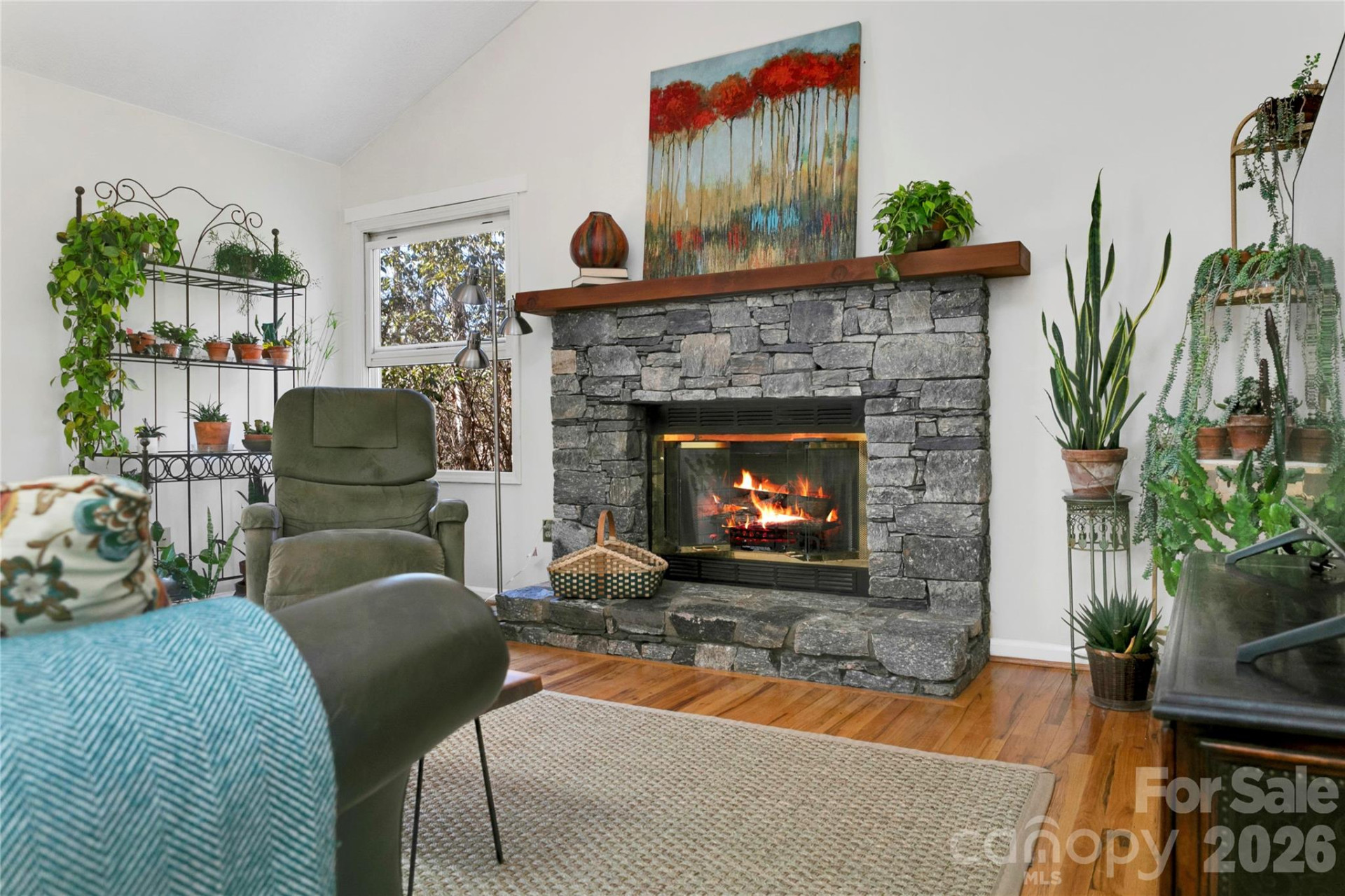 30 Tala Court - Photo 17