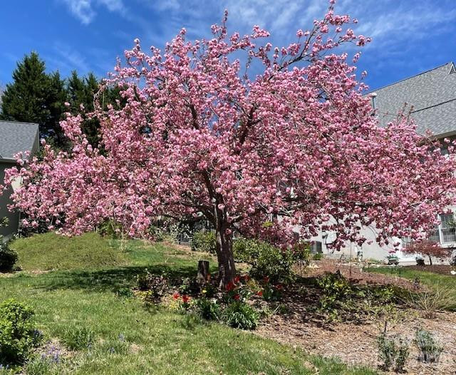 405 Mistletoe Trail - Photo 45