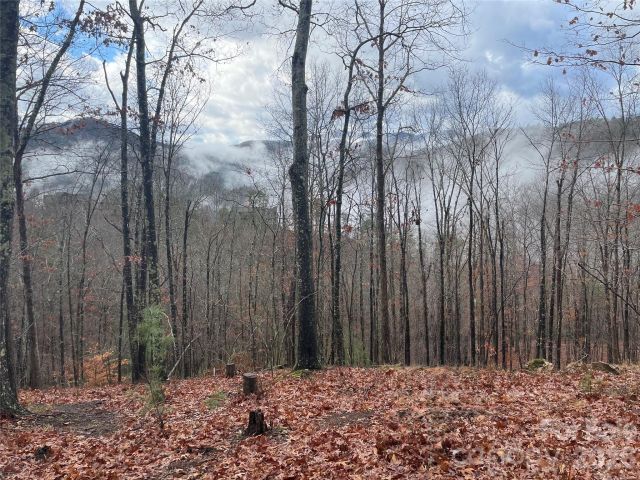 75 Wild Turkey Loop, Marshall, NC, 28753