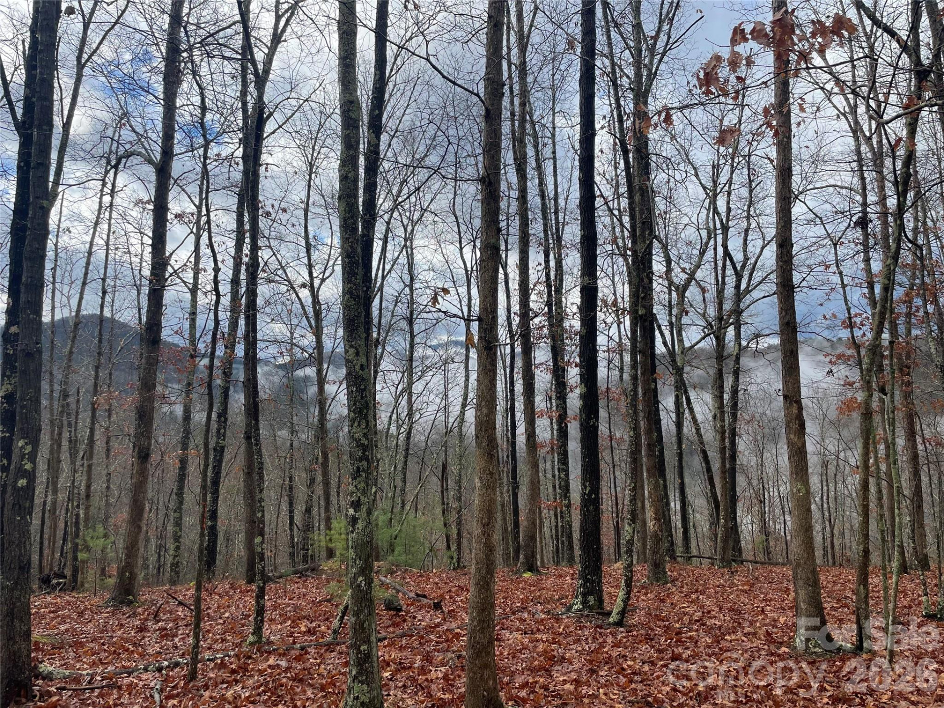 75 Wild Turkey Loop #31 - Photo 3