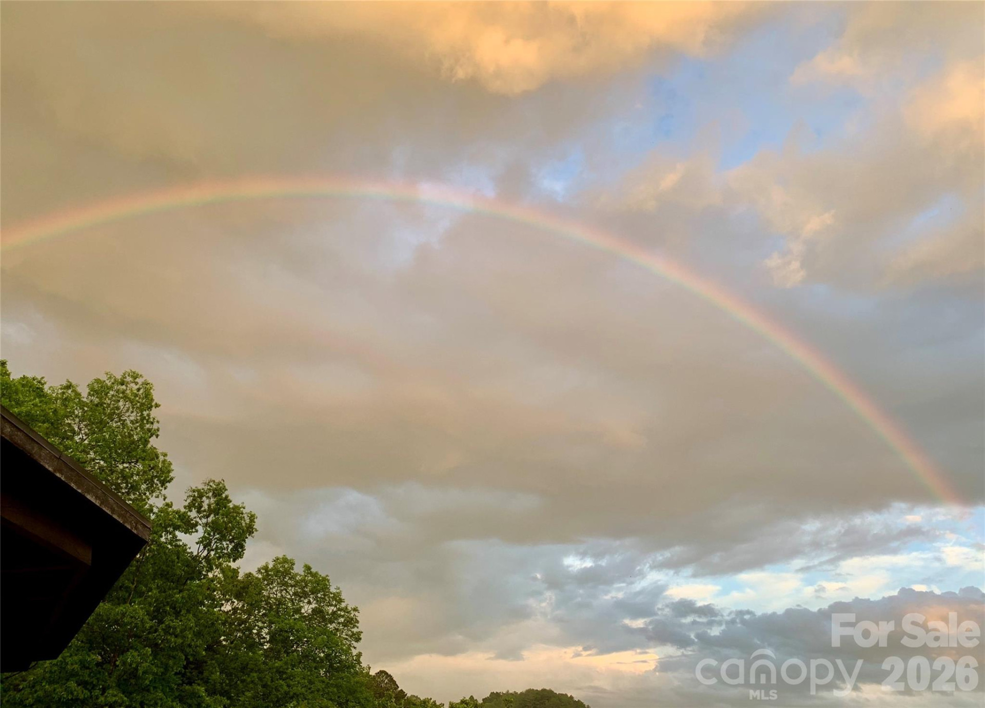 75 Wild Turkey Loop #31 - Photo 21