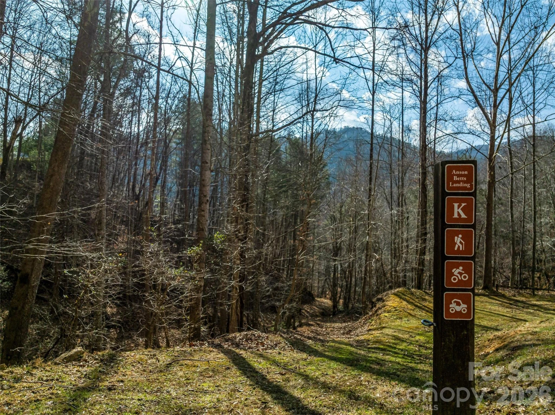 75 Wild Turkey Loop #31 - Photo 27