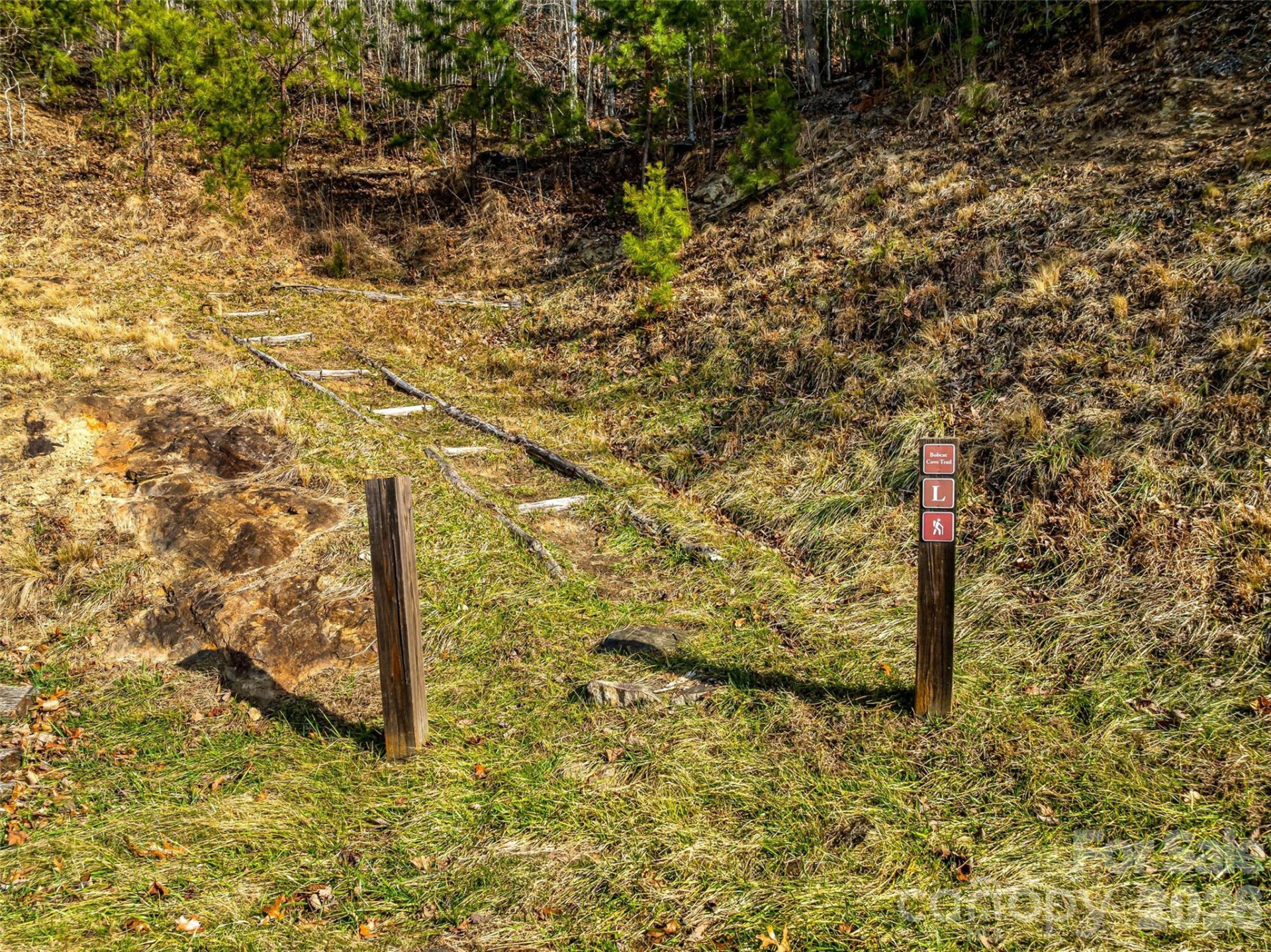 75 Wild Turkey Loop #31 - Photo 28