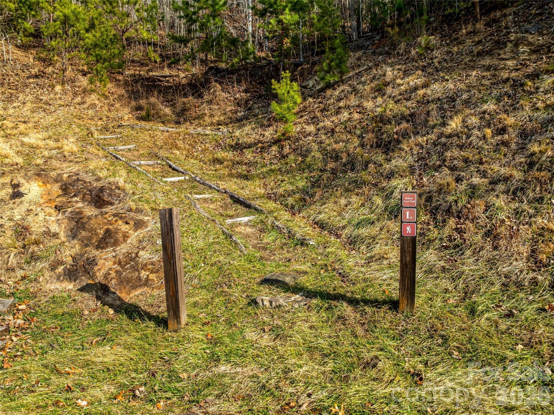 75 Wild Turkey Loop #31 - Photo 28