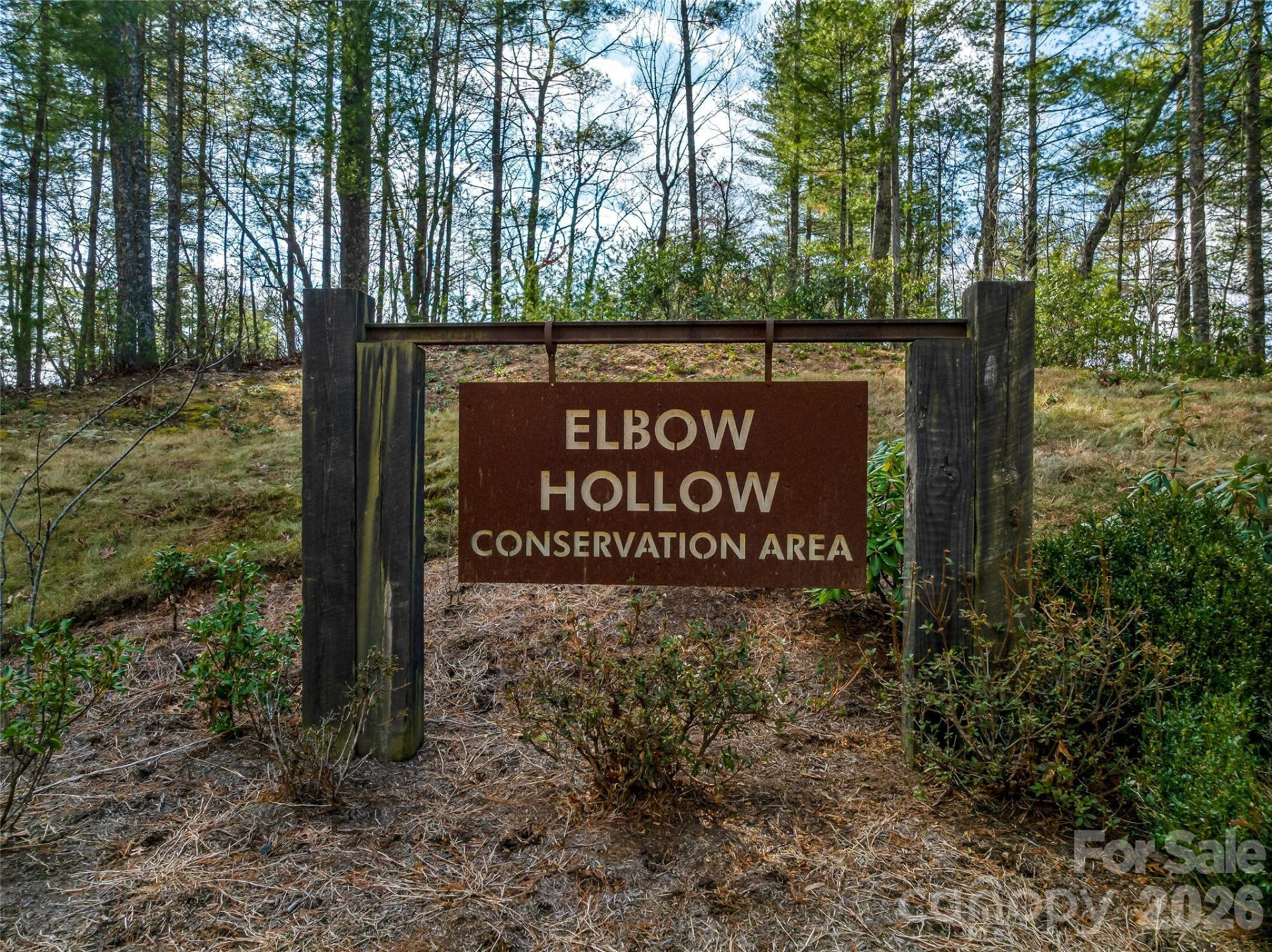 75 Wild Turkey Loop #31 - Photo 37