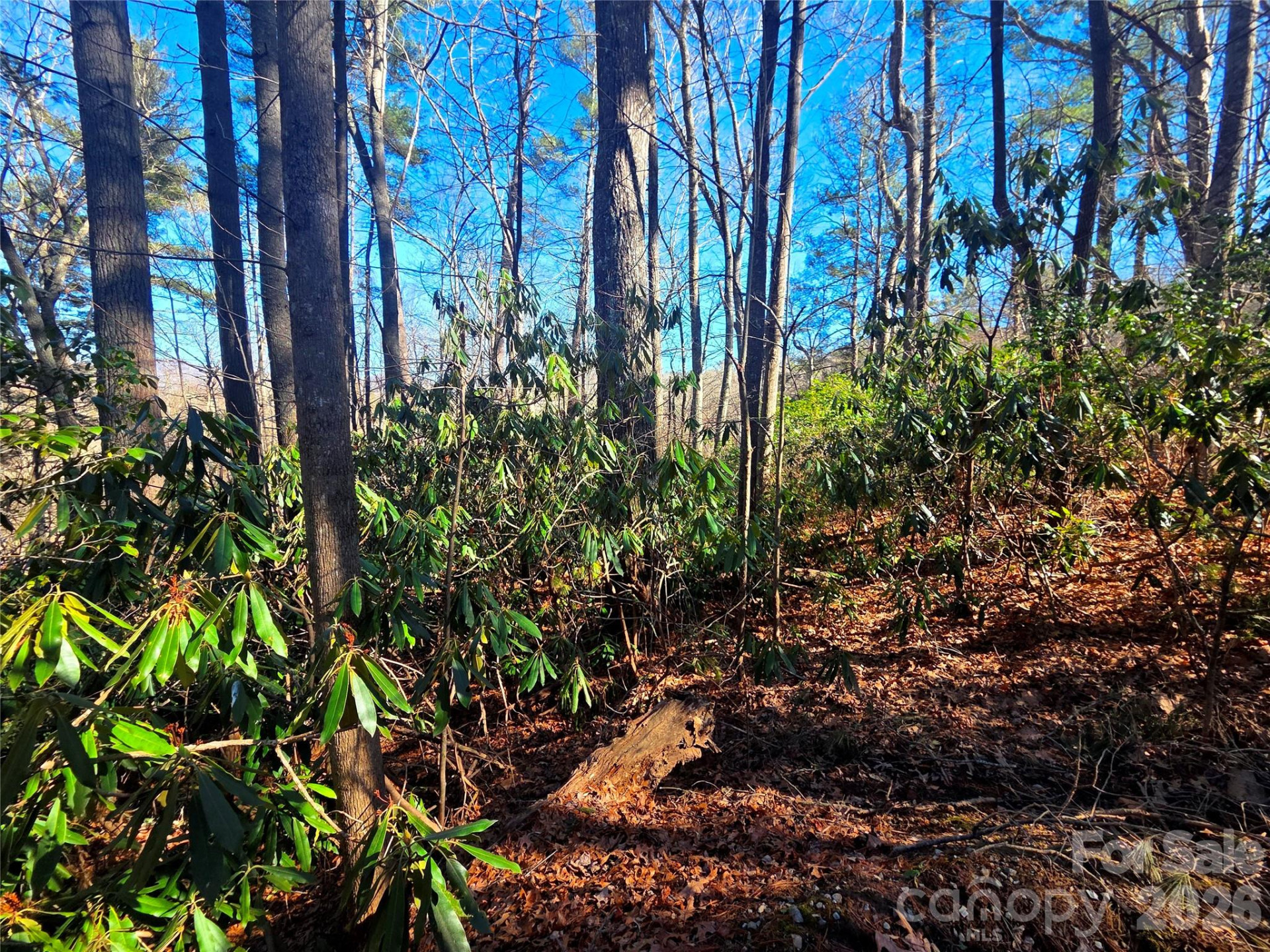 115 Fragrant Pine Drive #105 - Photo 2