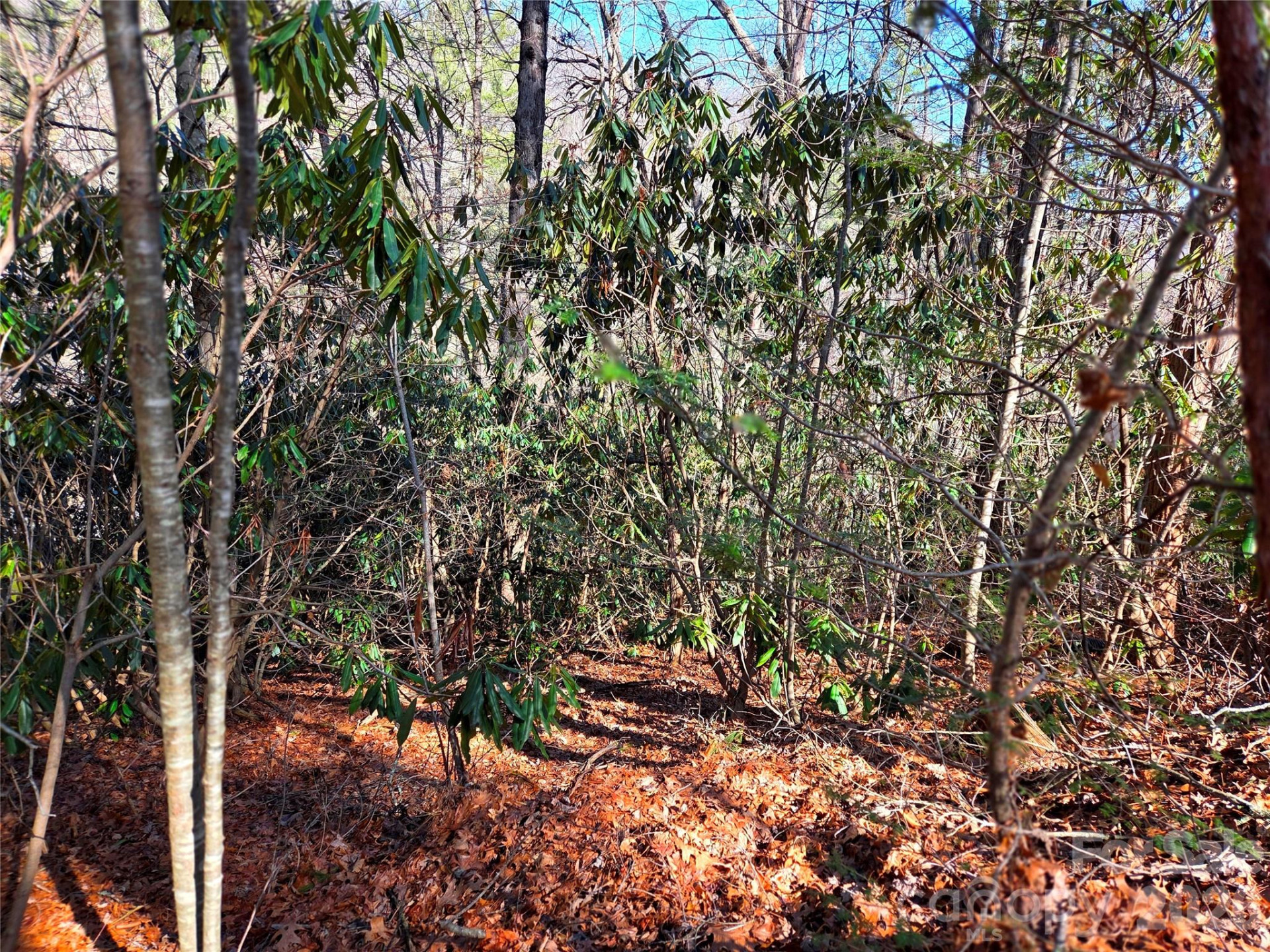 115 Fragrant Pine Drive #105 - Photo 13