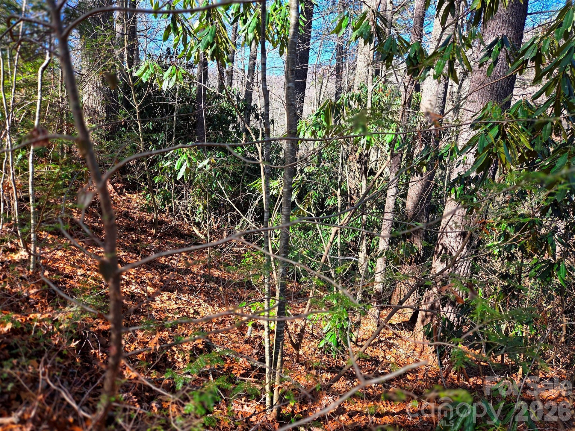 115 Fragrant Pine Drive #105 - Photo 16