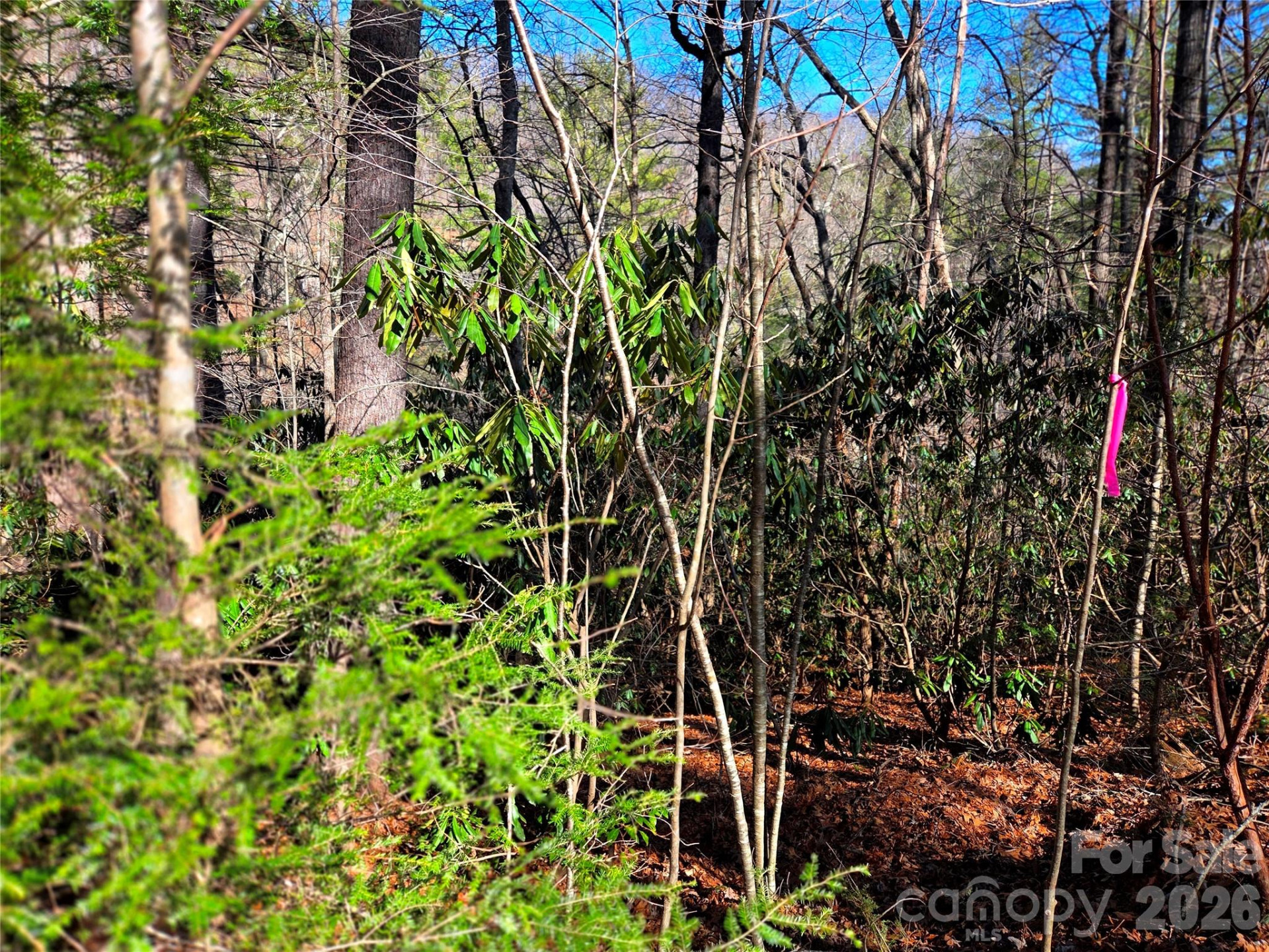 115 Fragrant Pine Drive #105 - Photo 5