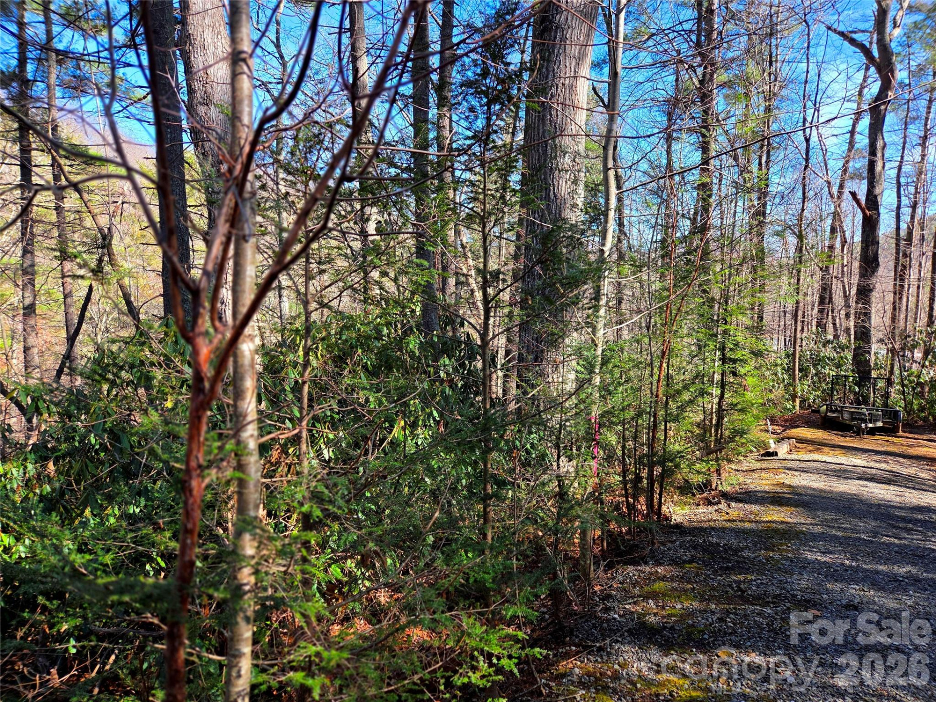 115 Fragrant Pine Drive #105 - Photo 7