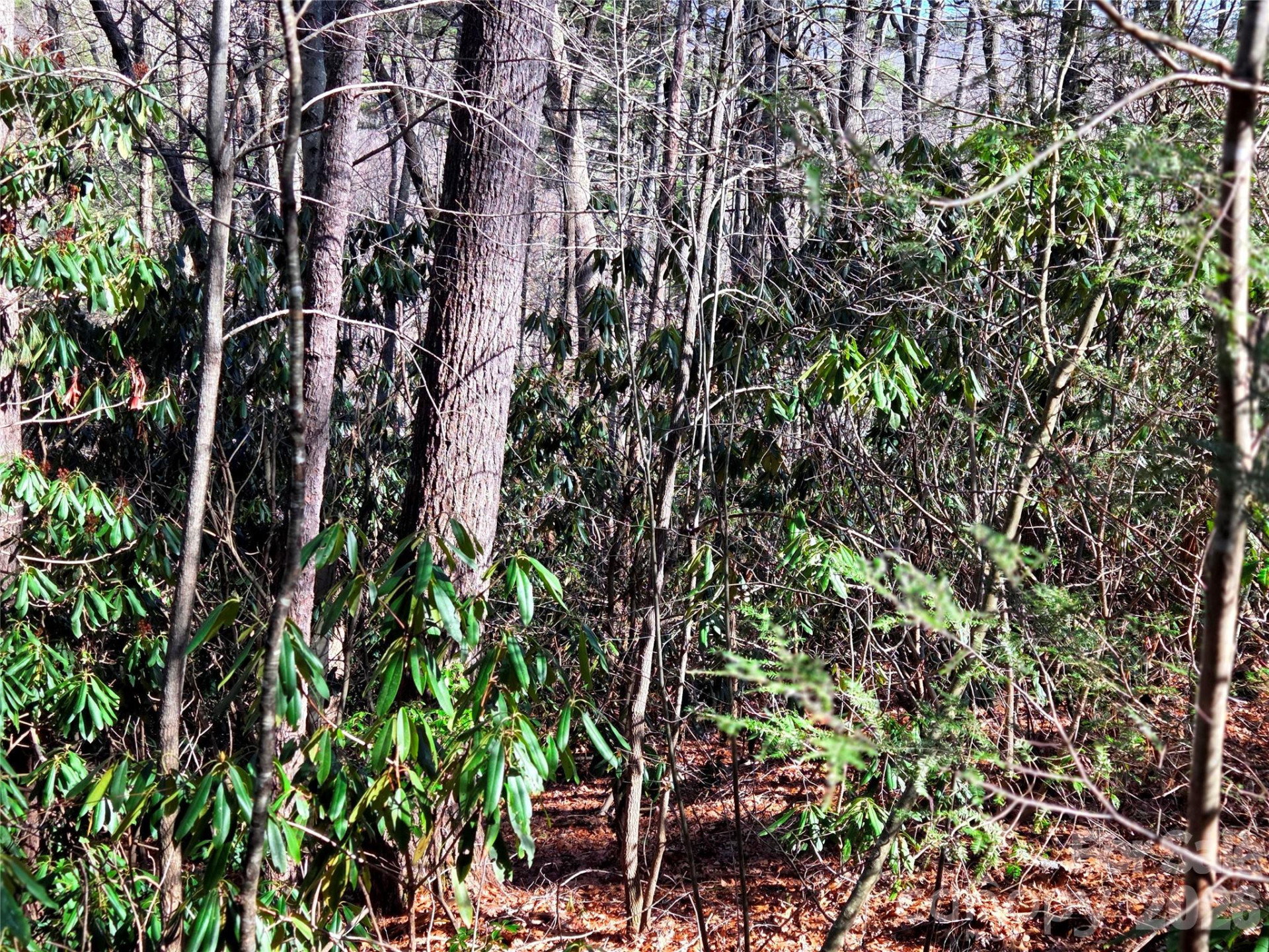 115 Fragrant Pine Drive #105 - Photo 8