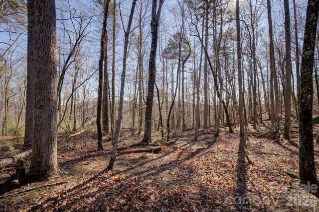 004 High Road Court, Lake Lure, NC, 28746