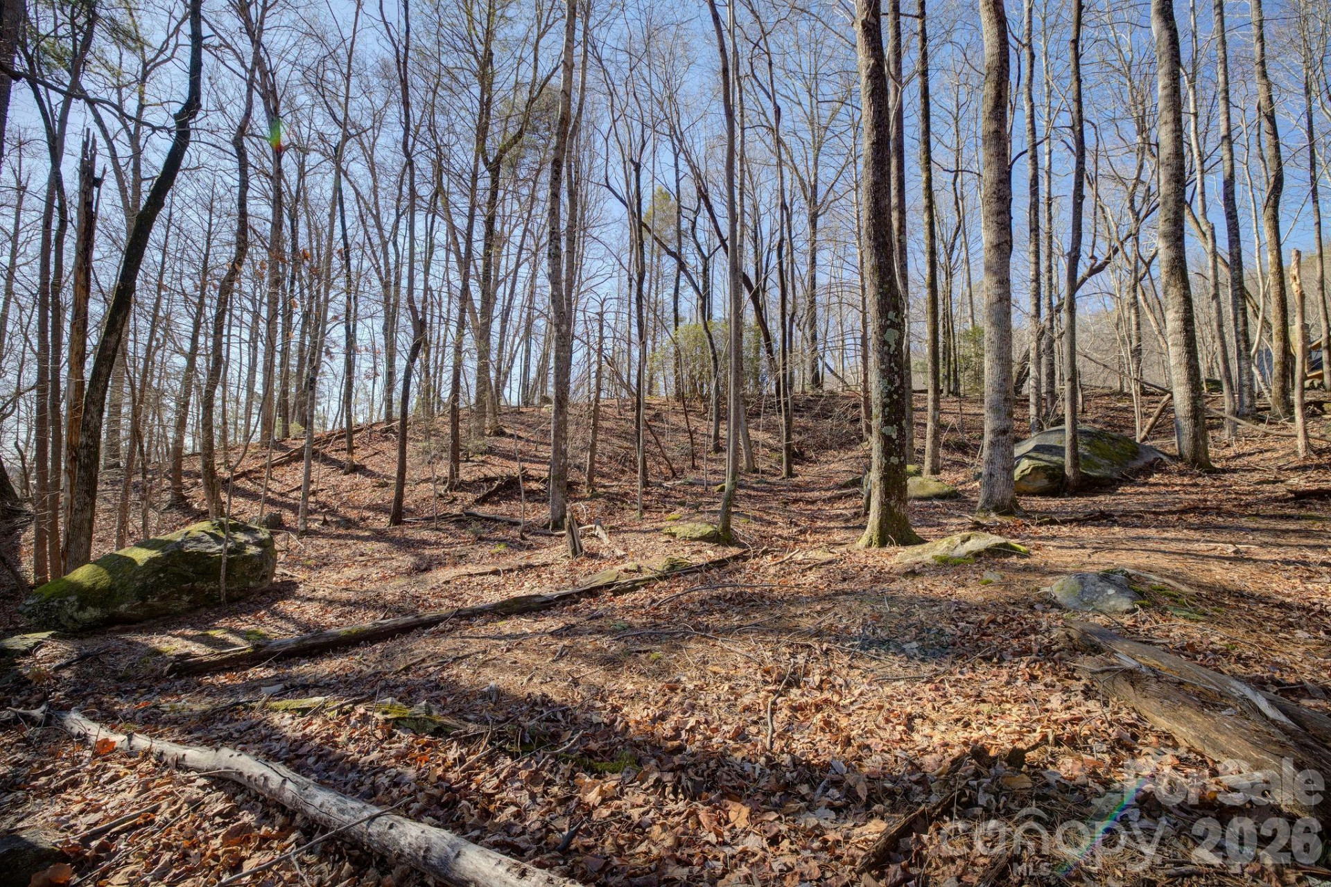 004 High Road Court #4 - Photo 2