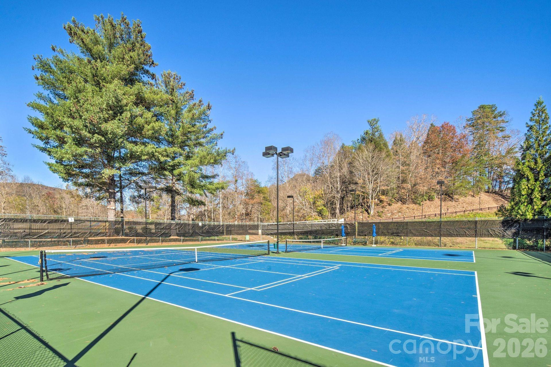 004 High Road Court #4 - Photo 11