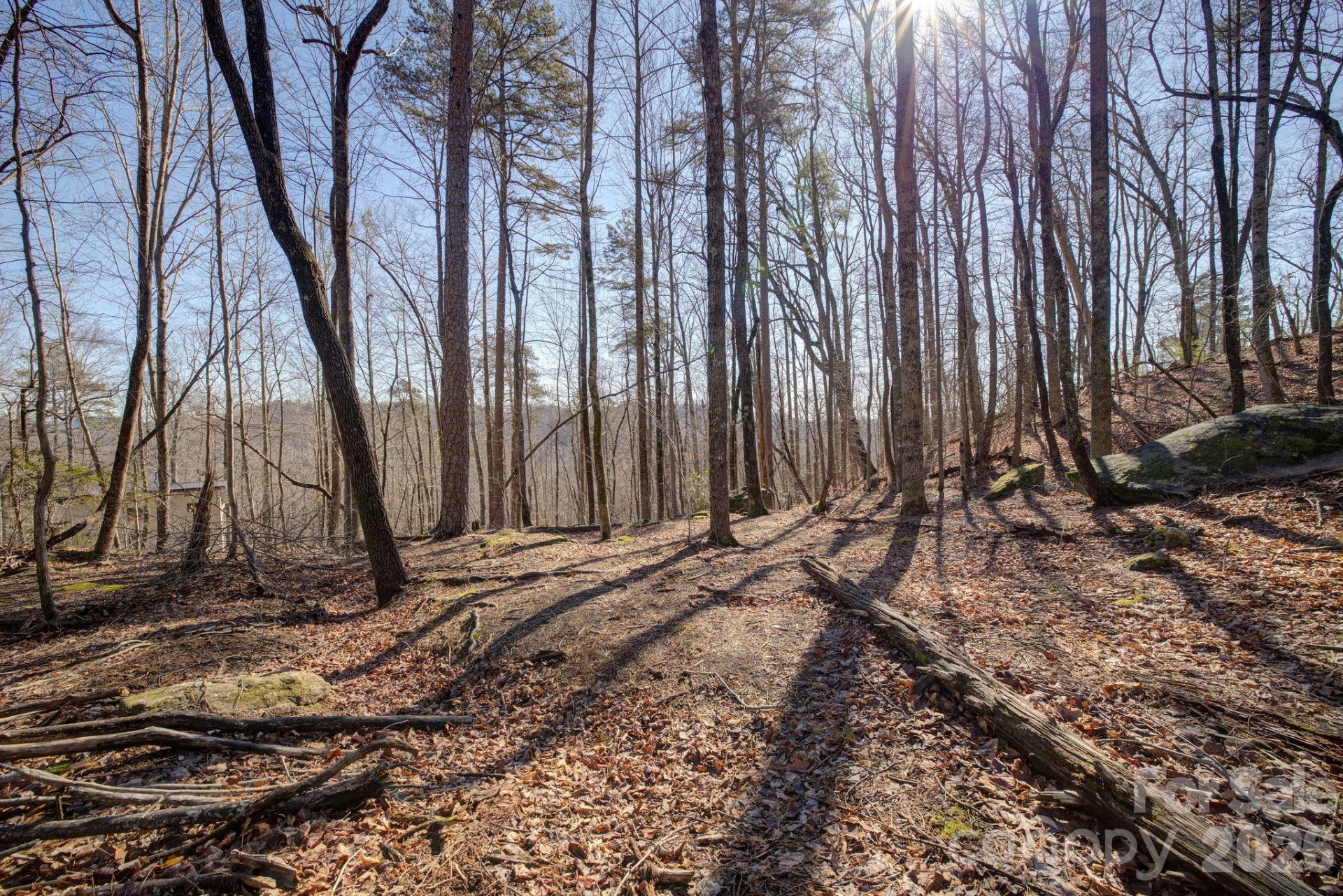 004 High Road Court #4 - Photo 3