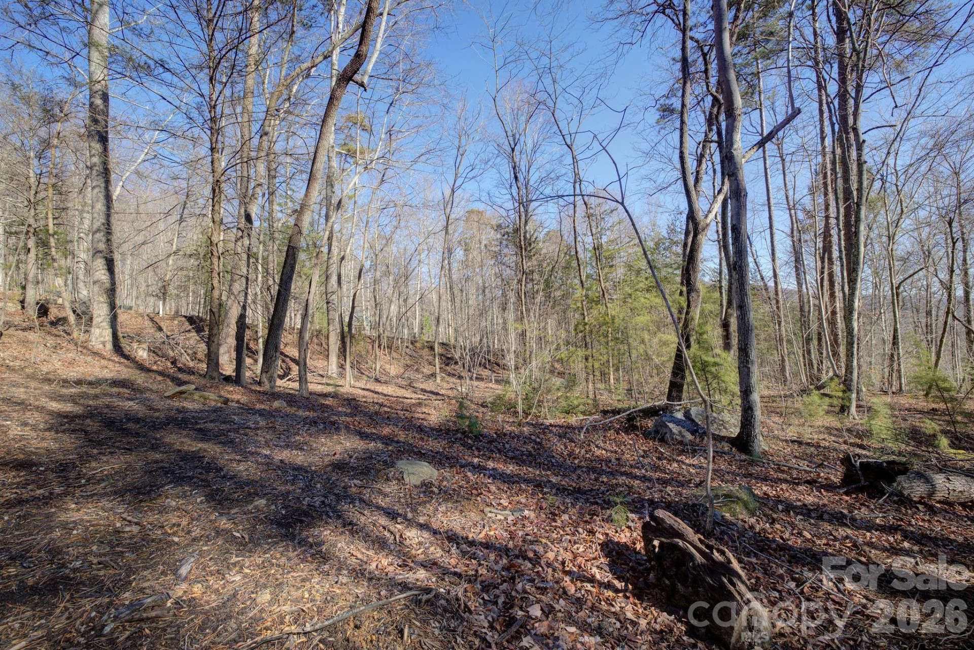 004 High Road Court #4 - Photo 4